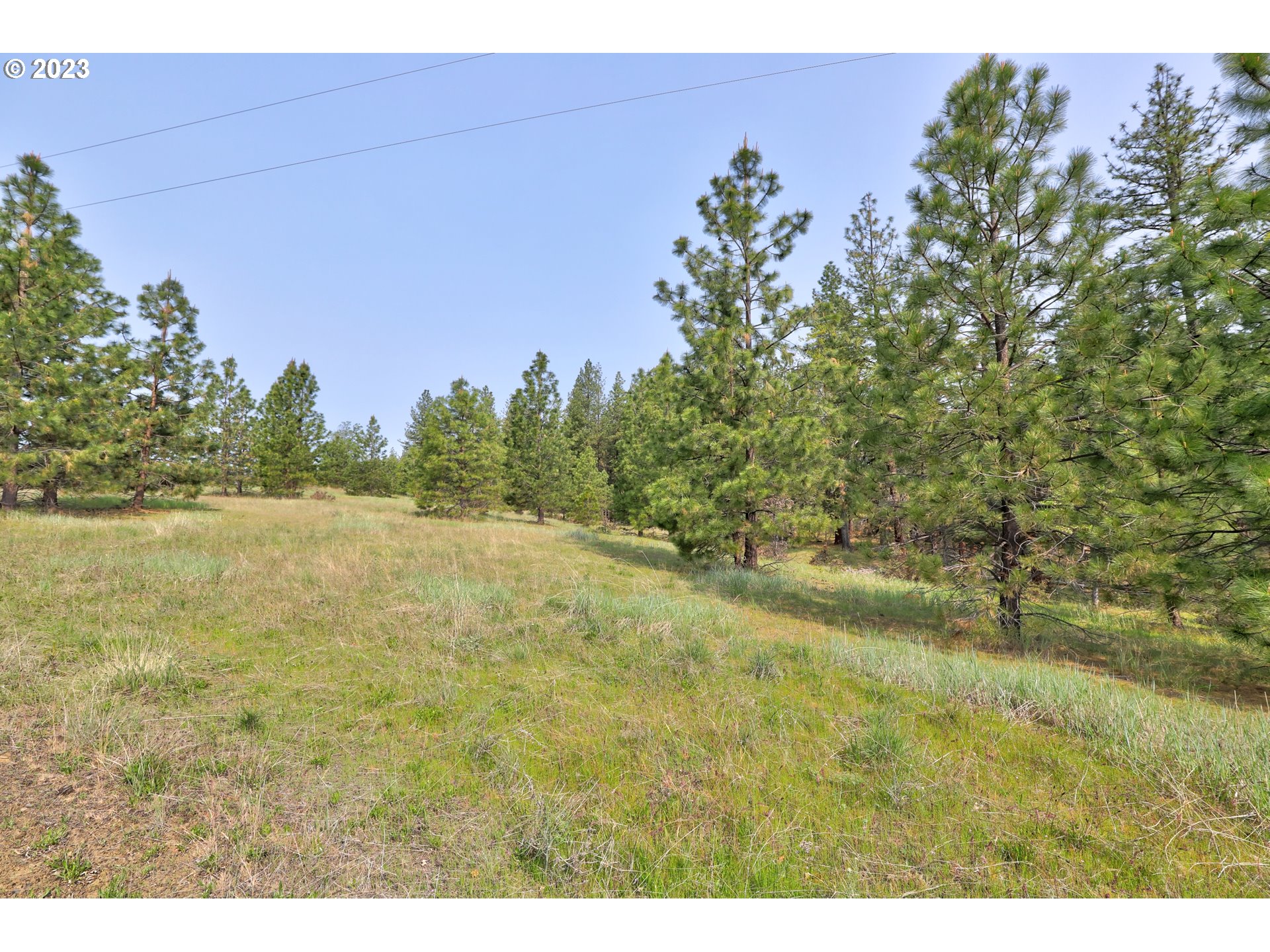 Outback Road Goldendale, WA 98620 - Photo 4 of 16 Gallery Image 4