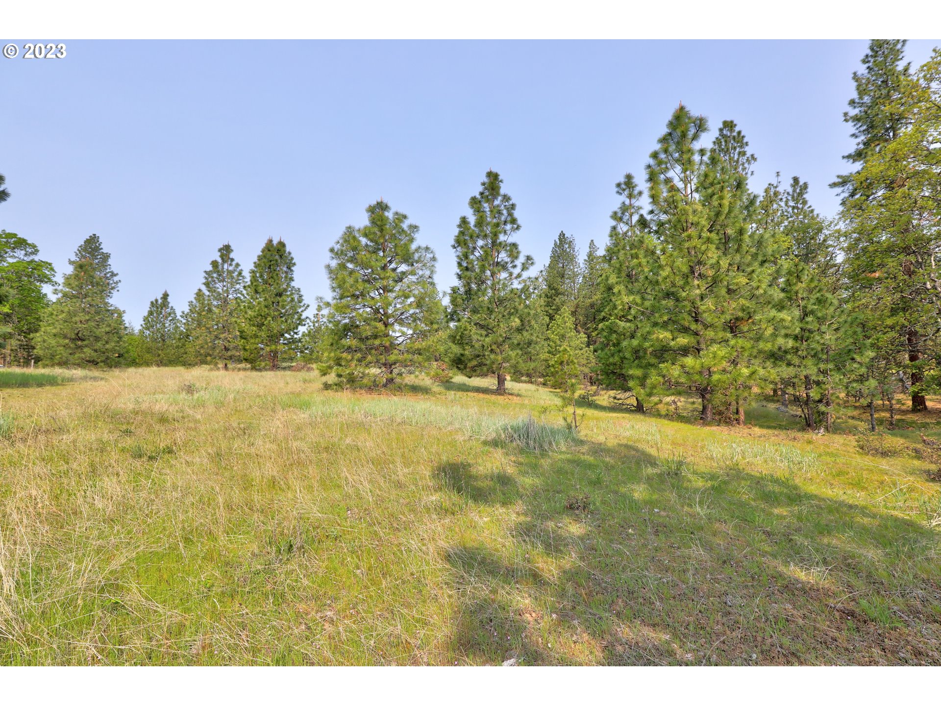 Outback Road Goldendale, WA 98620 - Photo 6 of 16 Gallery Image 6