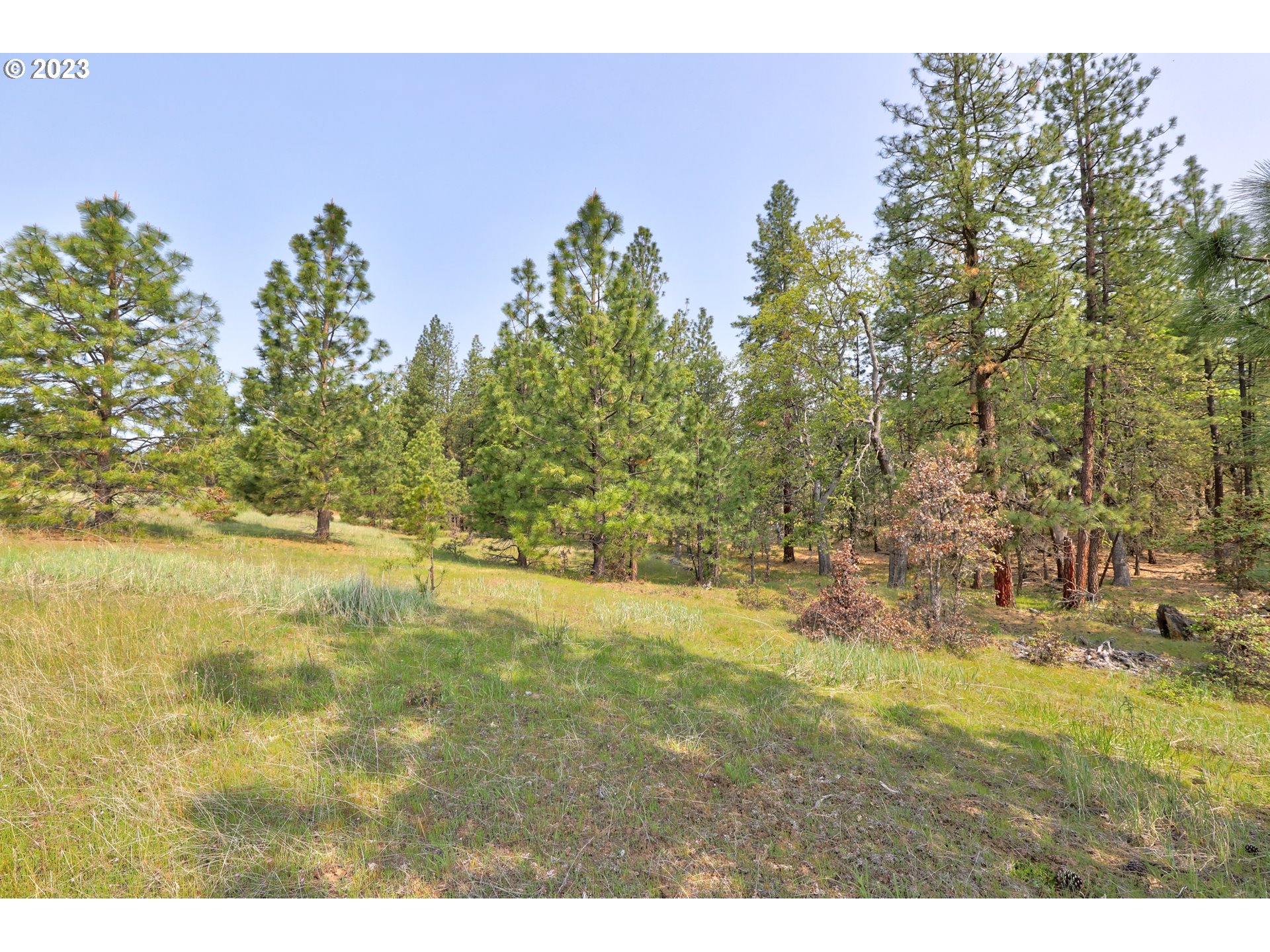 Outback Road Goldendale, WA 98620 - Photo 7 of 16 Gallery Image 7