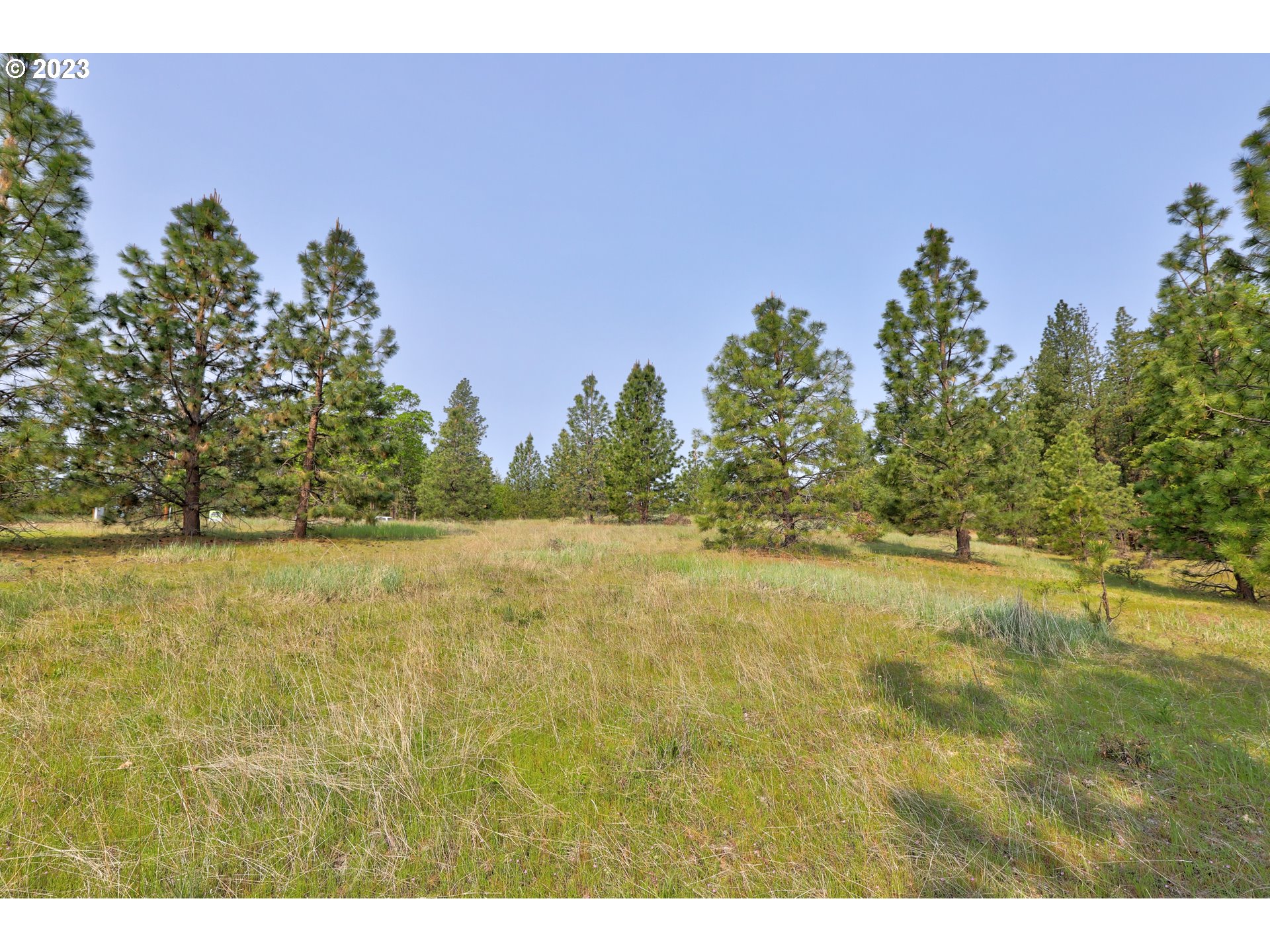 Outback Road Goldendale, WA 98620 - Photo 8 of 16 Gallery Image 8