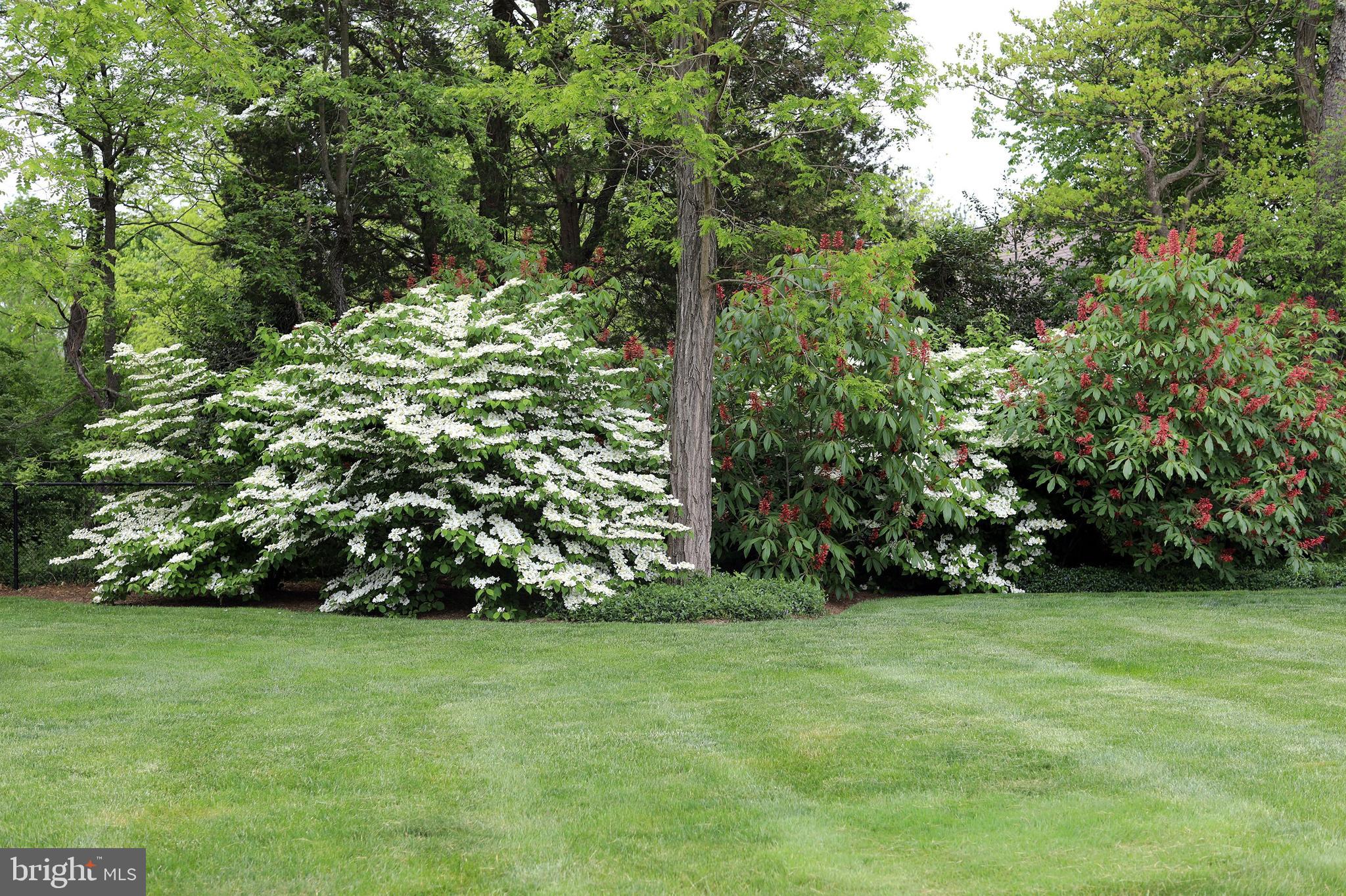 87 High Ridge Road Skillman, NJ 08558 - Photo 32 of 34