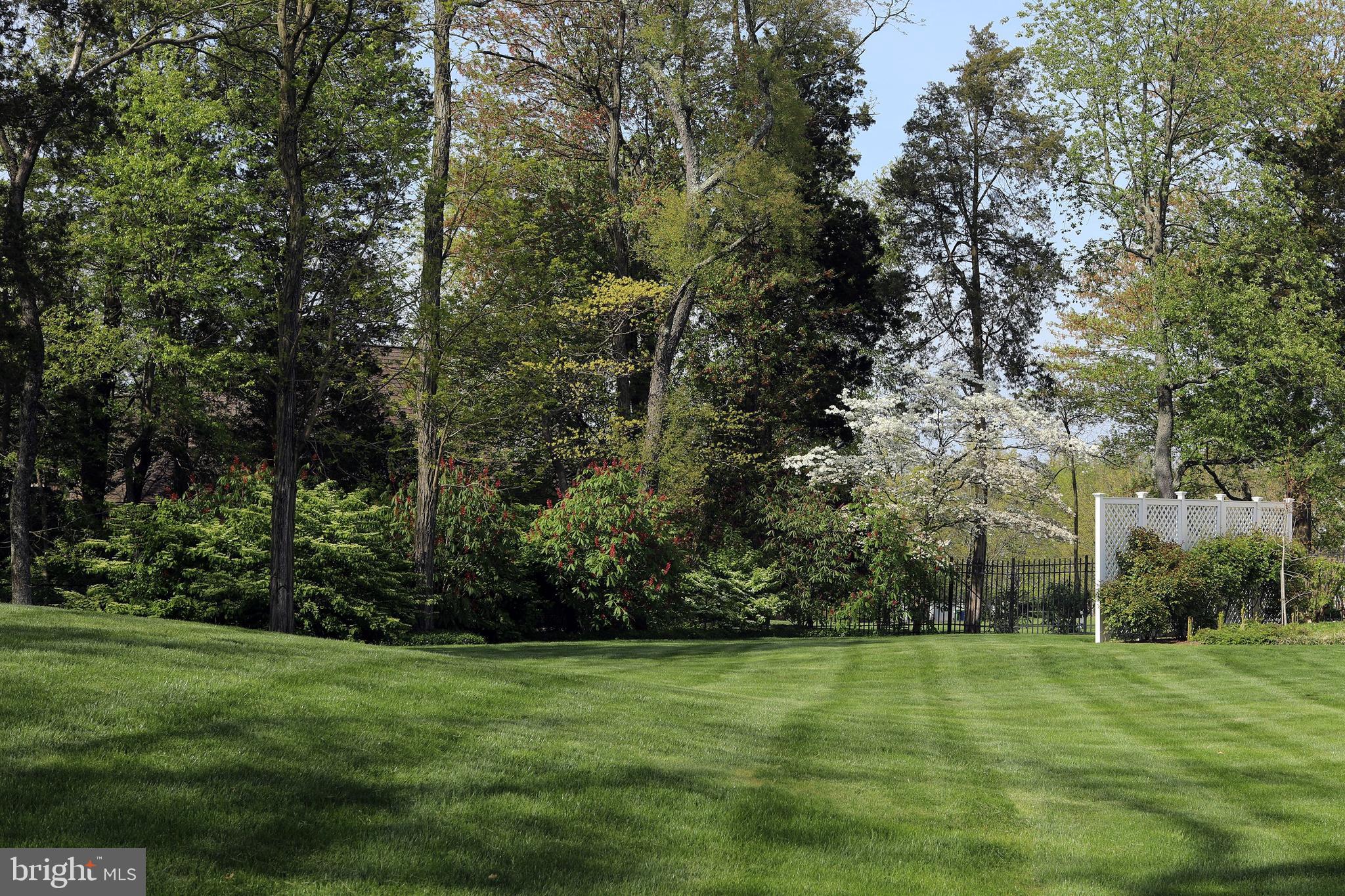 87 High Ridge Road Skillman, NJ 08558 - Photo 33 of 34