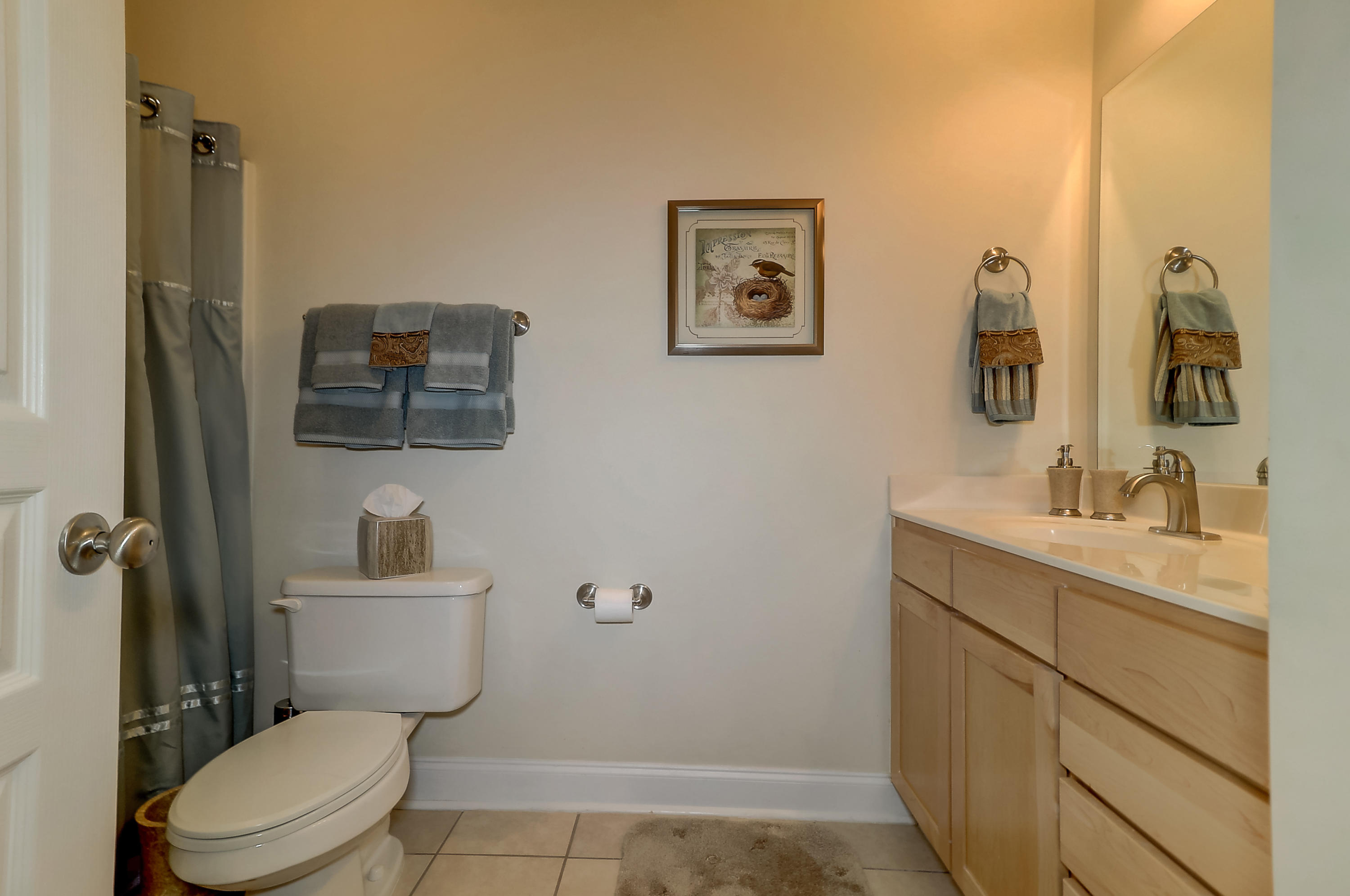 1113 Basildon Road Mount Pleasant, SC 29466 - Photo 22 of 33 1113 Basildon (13)