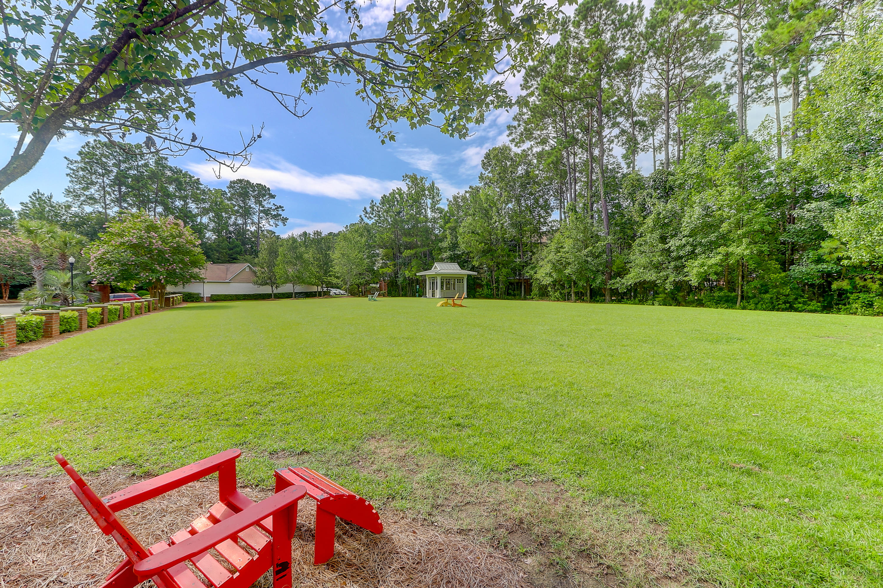 1113 Basildon Road Mount Pleasant, SC 29466 - Photo 5 of 33 1113 Basildon (5)