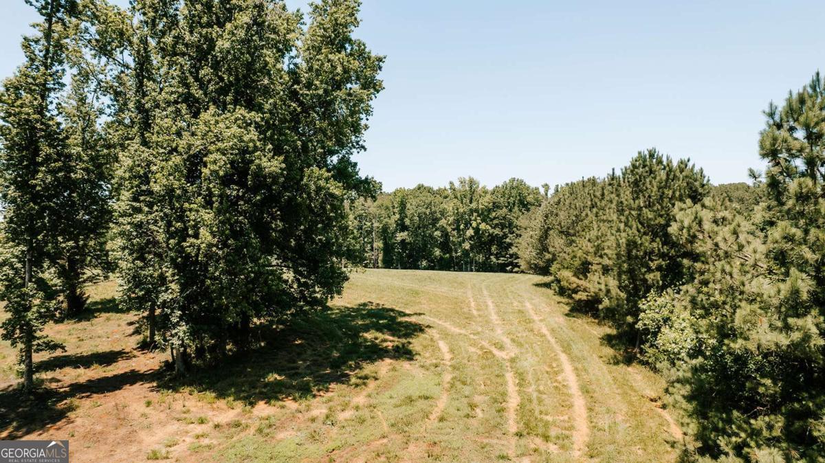 0 Mitchell Farm Road Colbert, GA 30628 - Photo 44 of 45