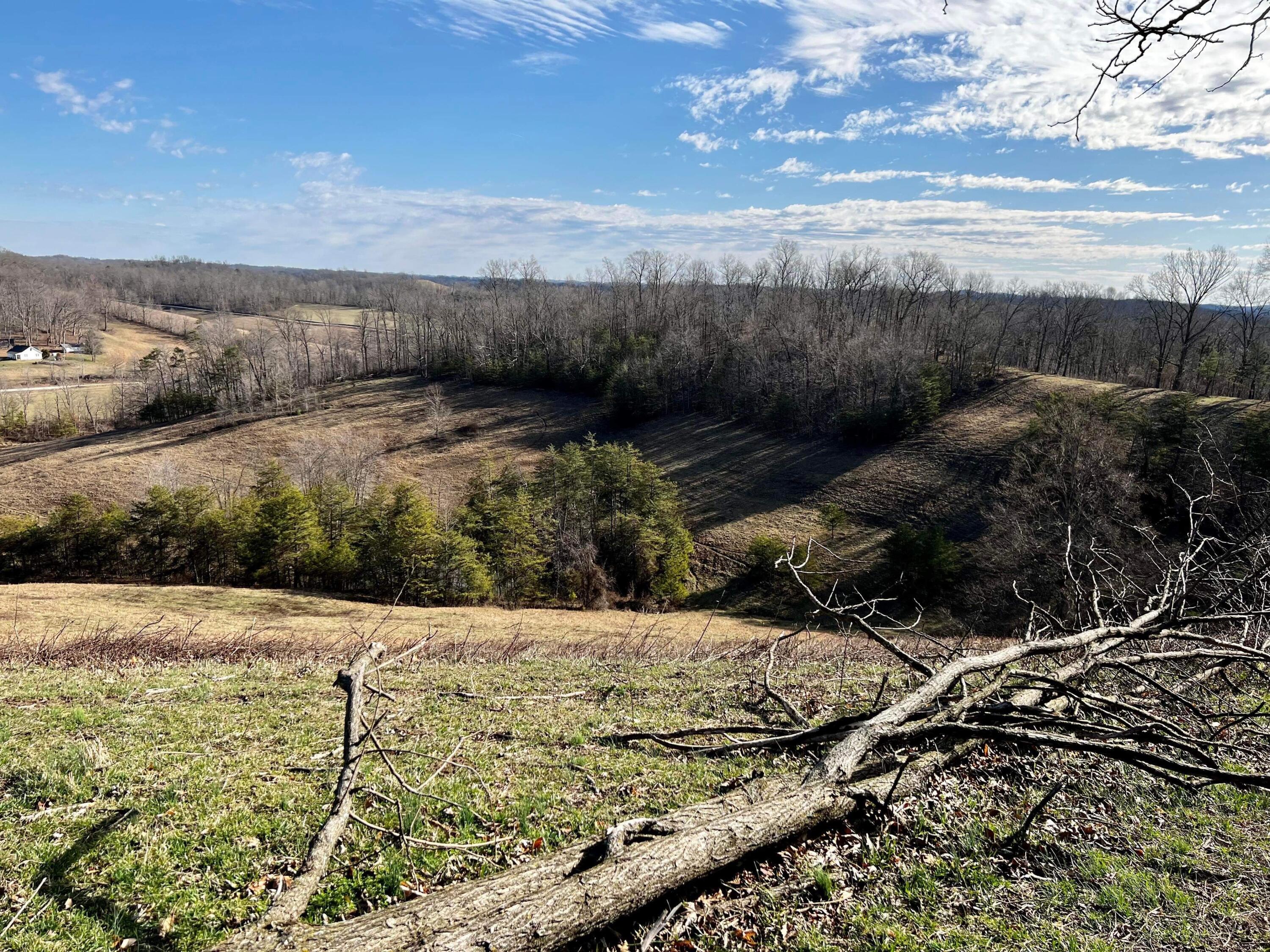 812 Stringtown Road Sandy Hook, KY 41171 - Photo 139 of 154 IMG_6170
