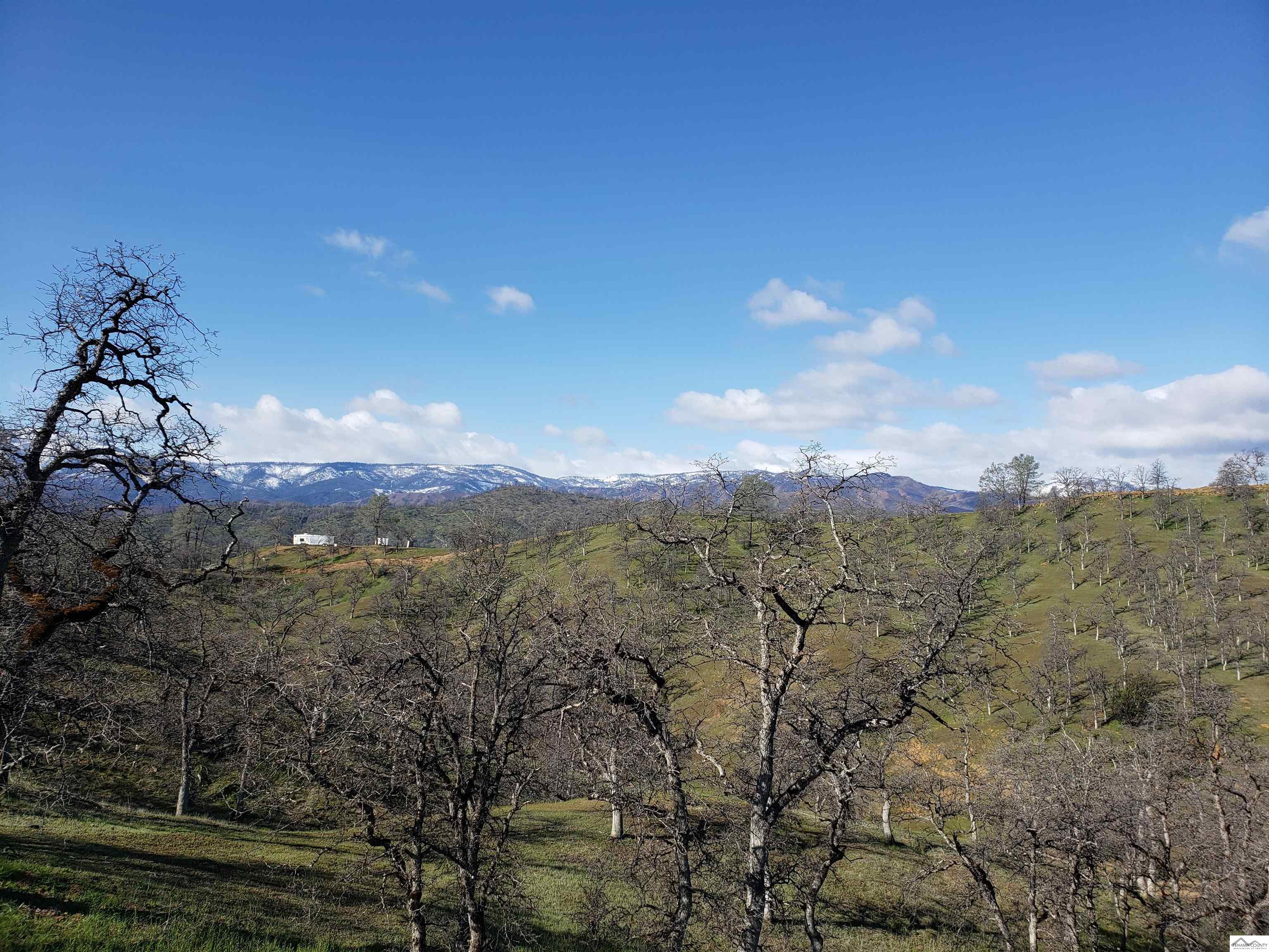 0 Vestal Road, Unit WELLS CREEK RANCHES Red Bluff, CA 96080 - Photo 14 of 45