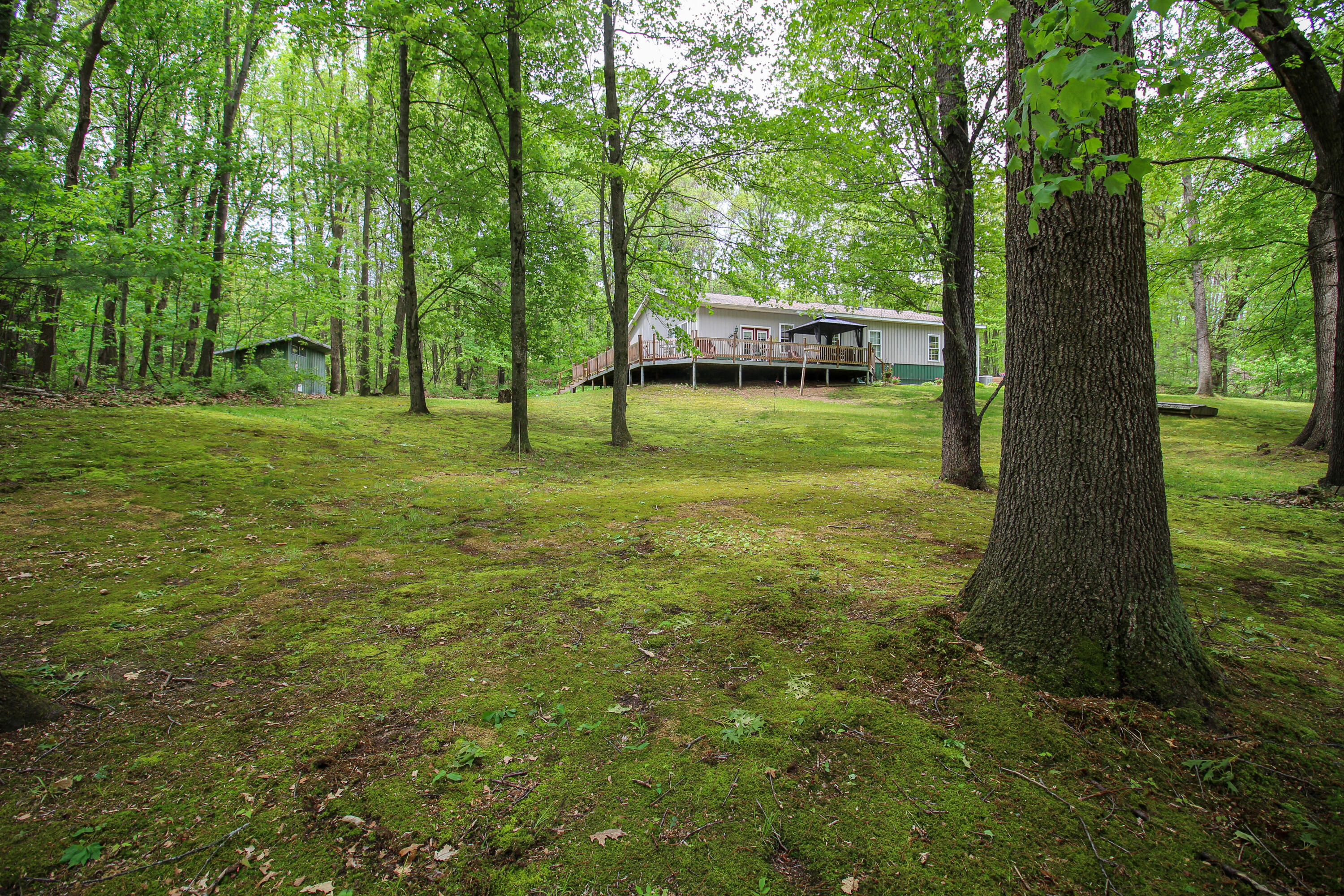 11111 Born Street Three Rivers, MI 49093 - Photo 8 of 65 Born-17