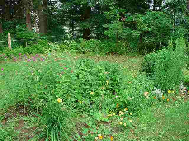 30 Buff Road Saratoga Springs, NY 12866 - Photo 11 of 12 Photo 11