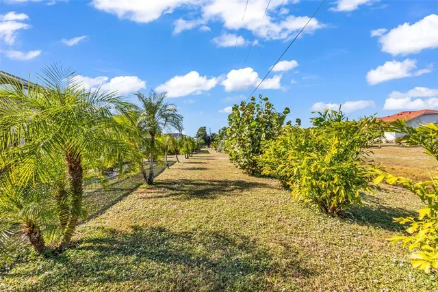 a view of a yard with swimming pool