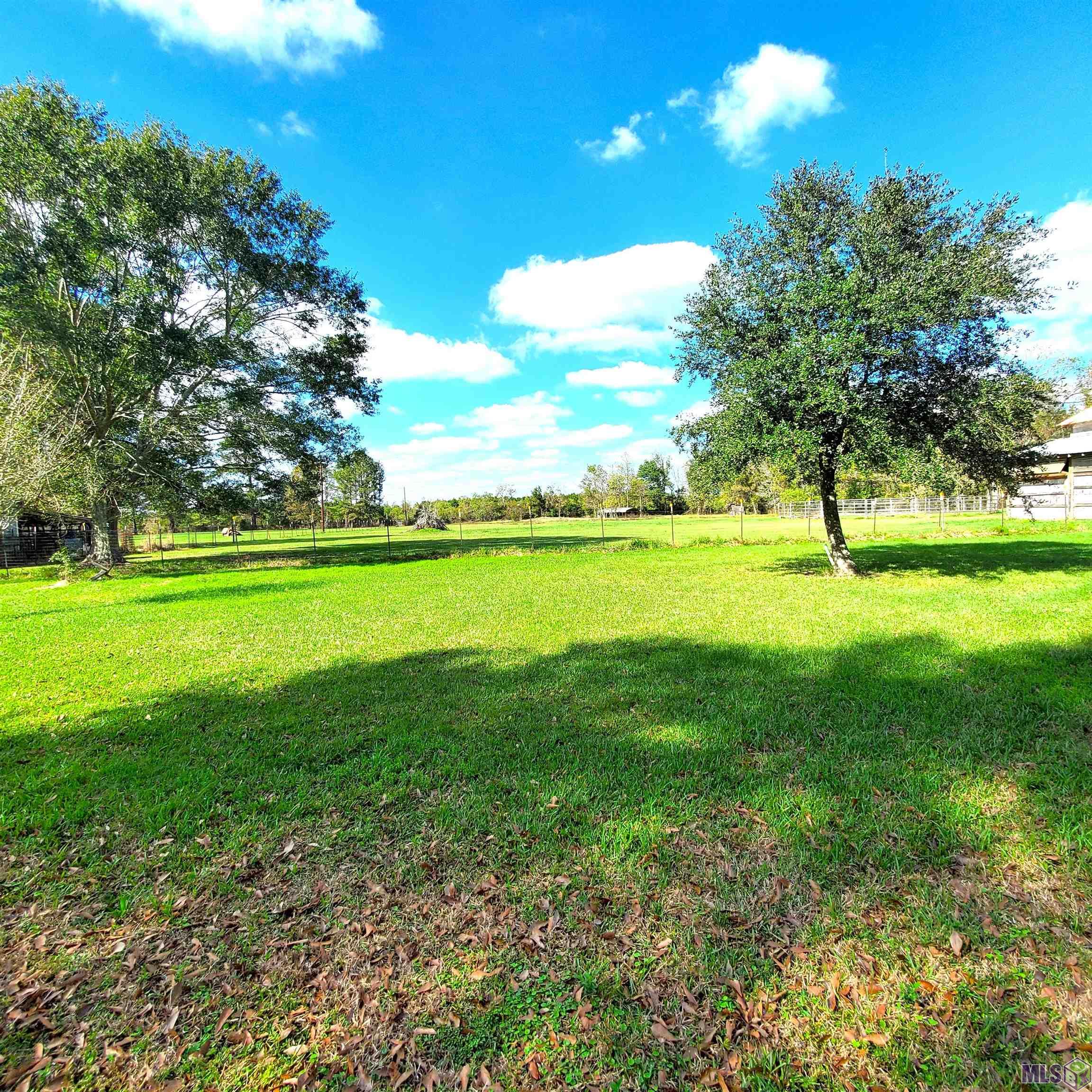 28243 Greenwell Springs Road Greenwell Springs, LA 70739 - Photo 32 of 40 Rear of the Property