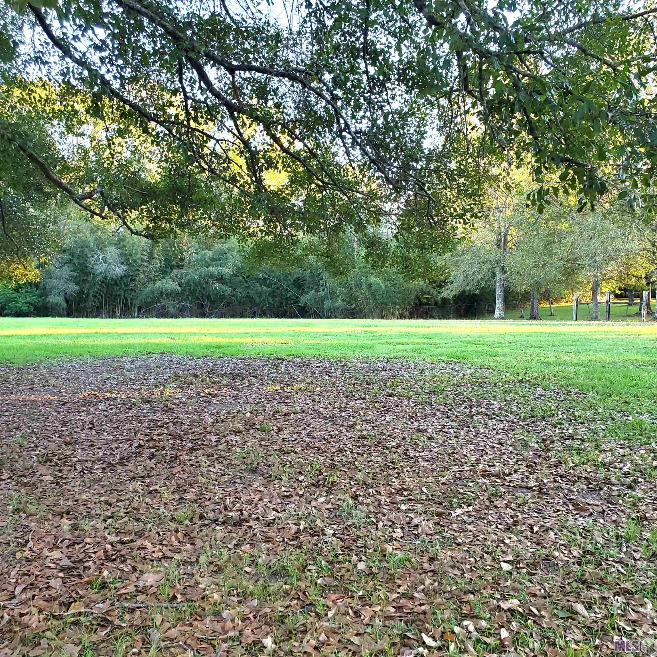 28243 Greenwell Springs Road Greenwell Springs, LA 70739 - Photo 6 of 40 Front Lawn