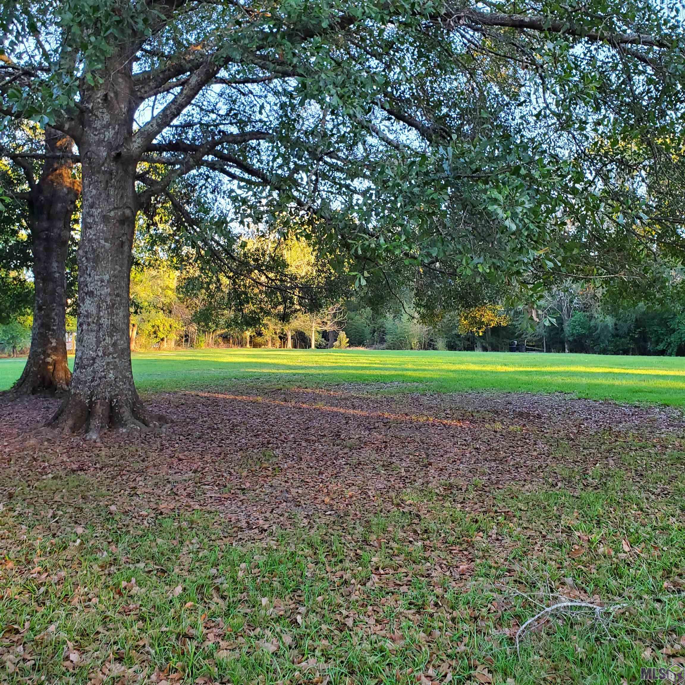 28243 Greenwell Springs Road Greenwell Springs, LA 70739 - Photo 7 of 40 Front Lawn