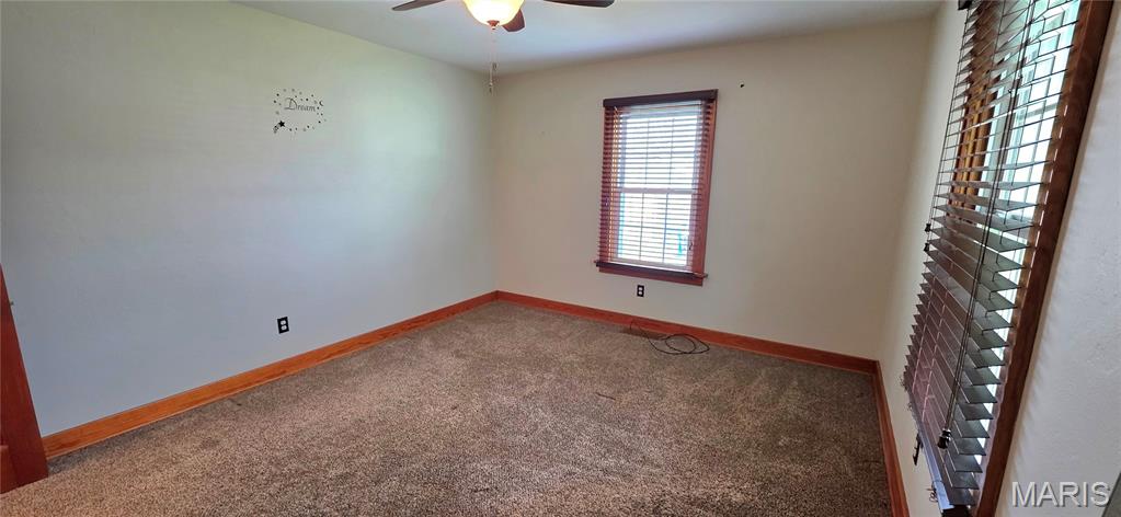 901 East Main Street Steeleville, IL 62288 - Photo 24 of 54