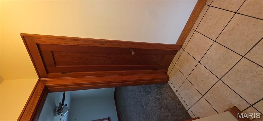 901 East Main Street Steeleville, IL 62288 - Photo 25 of 54