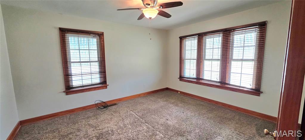 901 East Main Street Steeleville, IL 62288 - Photo 9 of 54