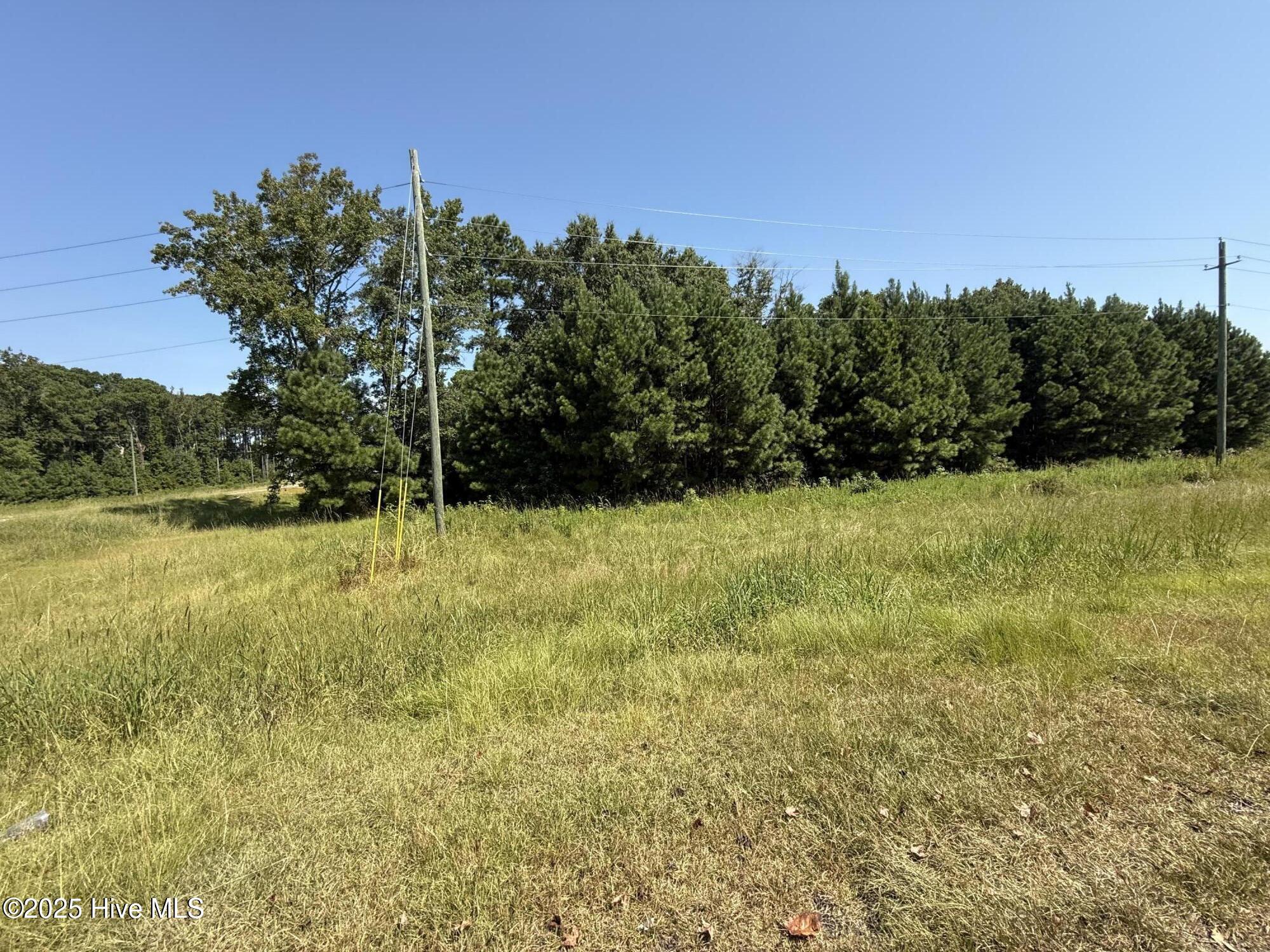 7147 Highway 11 Ayden, NC 28513 - Photo 8 of 11 vacant land 7