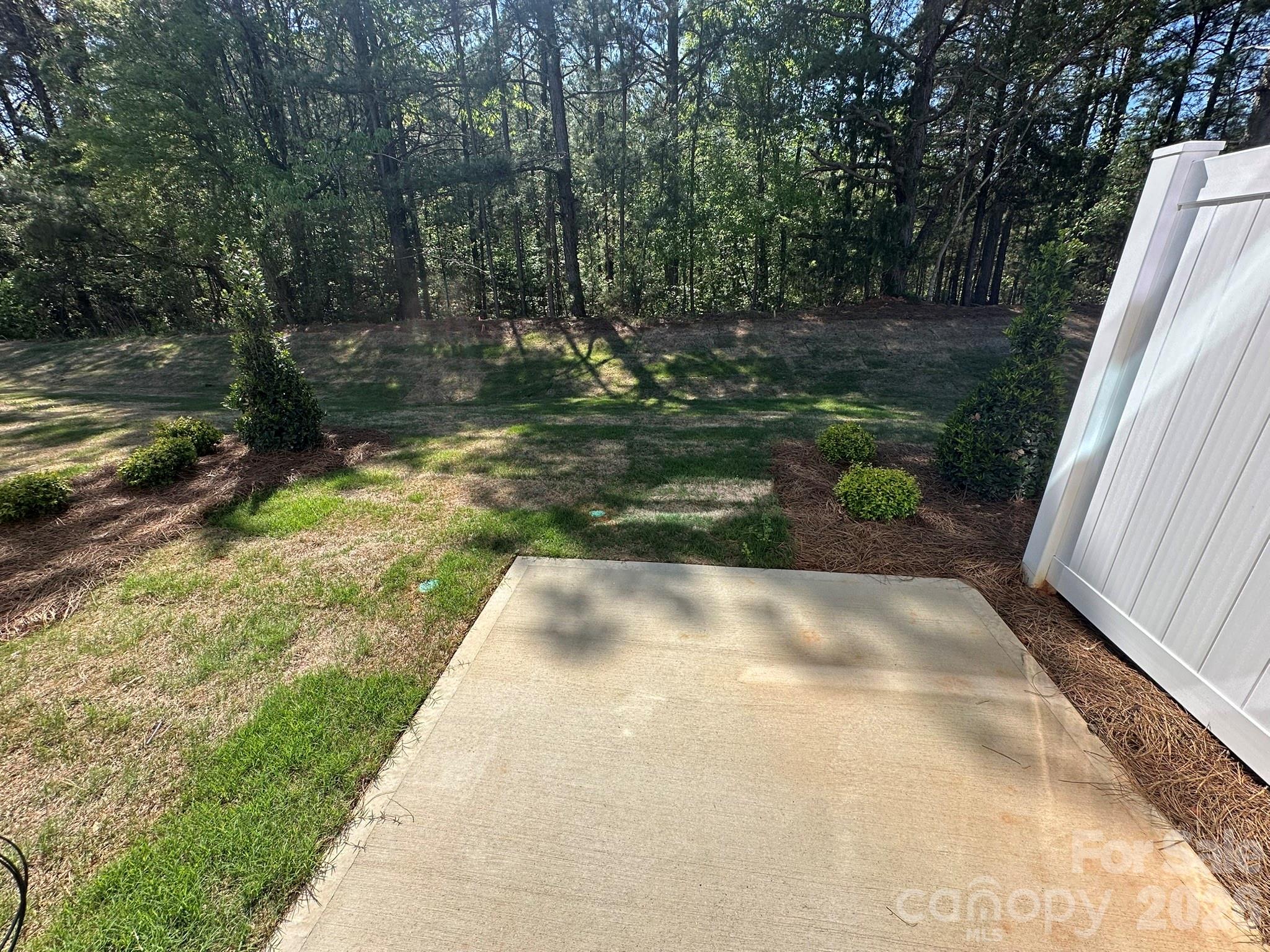 203 Viburnum Road Waxhaw, NC 28173 - Photo 11 of 11