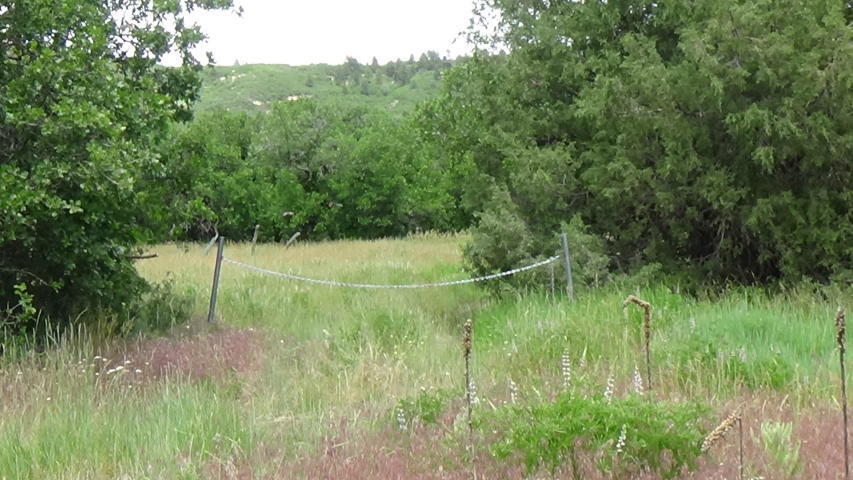 Kolob Oak Valley Road, Unit 10 ACRES Springdale, UT 84767 - Photo 1 of 1 20200522214023304703000000-o