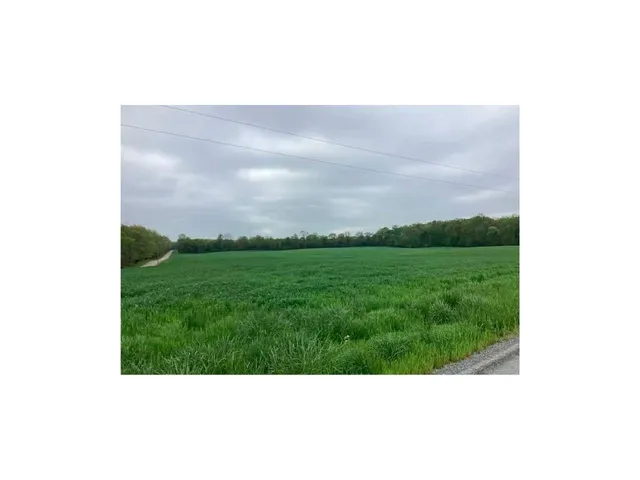 a picture of a person on a big yard