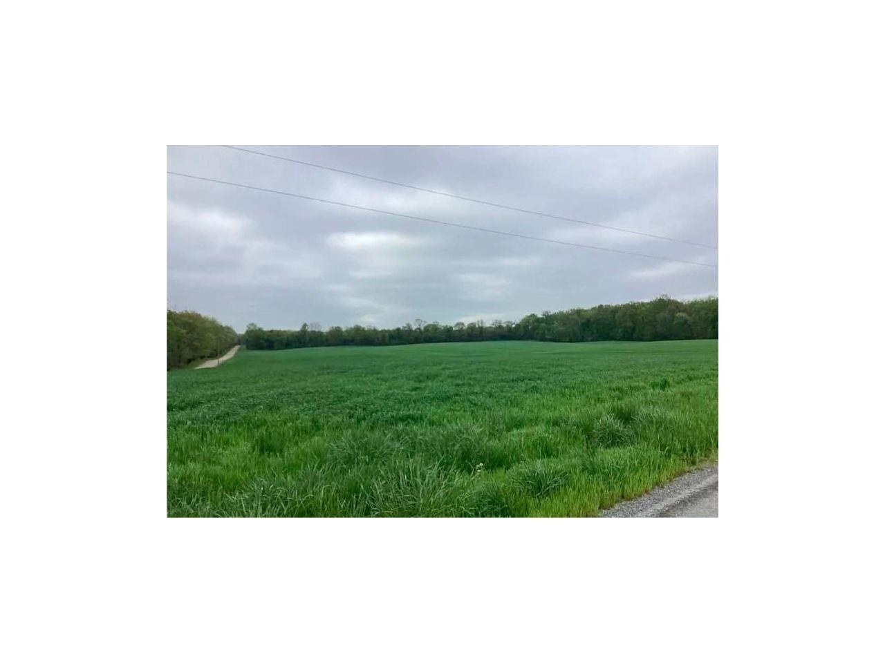 a picture of a person on a big yard