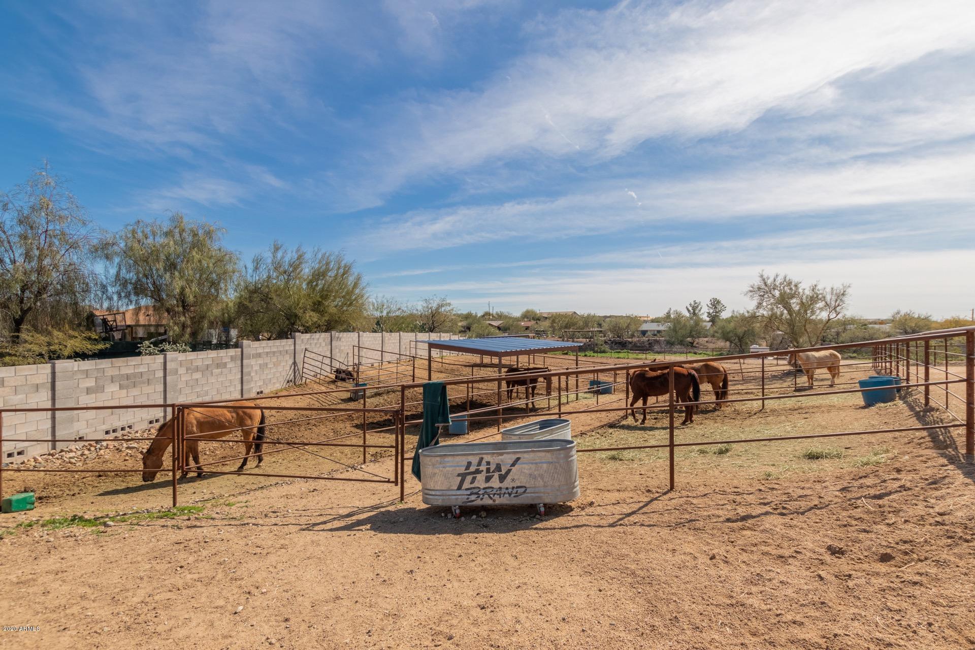 1511 East Joy Ranch Road Phoenix, AZ 85086 - Photo 15 of 20 Joy 28