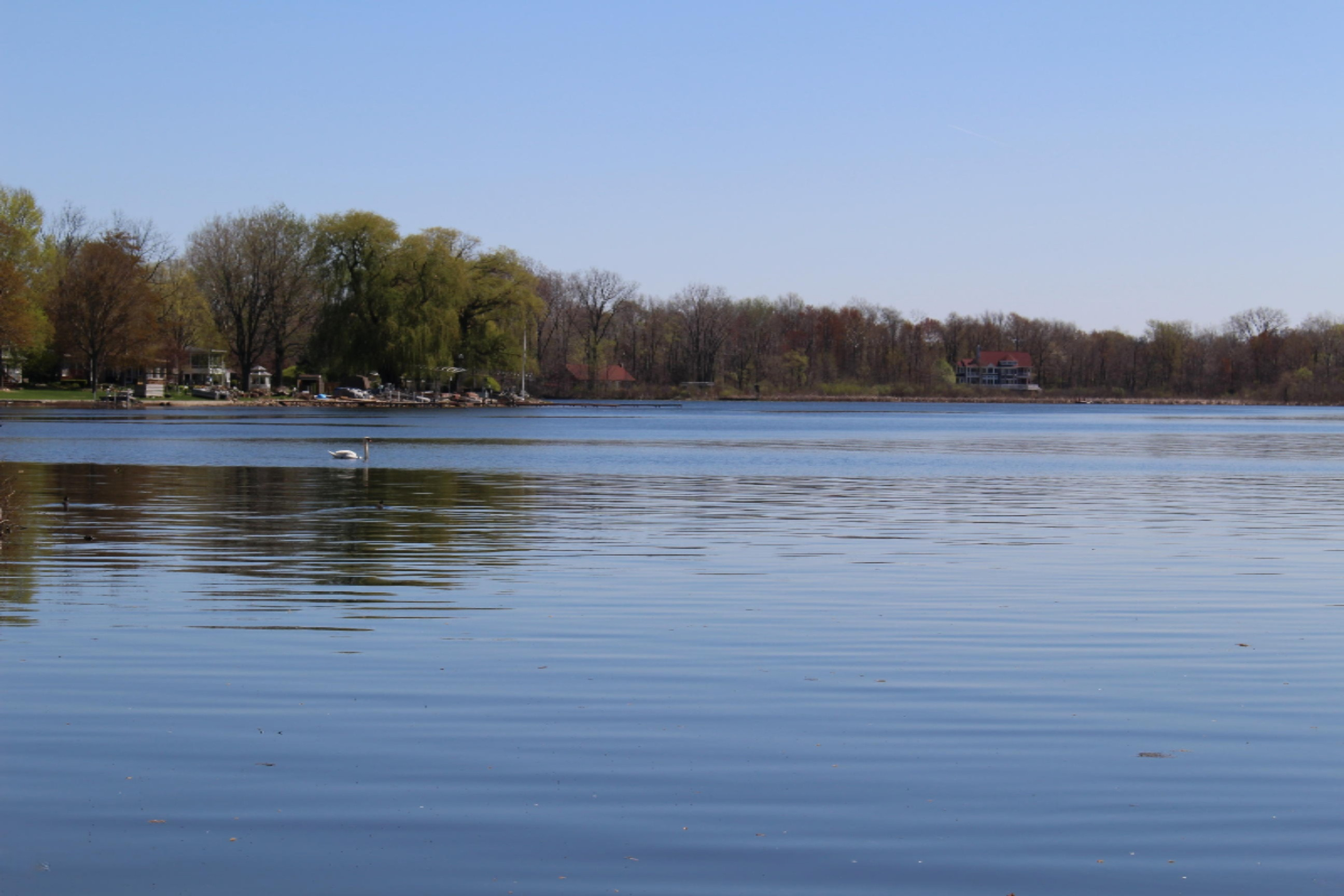 46954 Meadow Lane Decatur, MI 49045 - Photo 25 of 42 IMG_4566