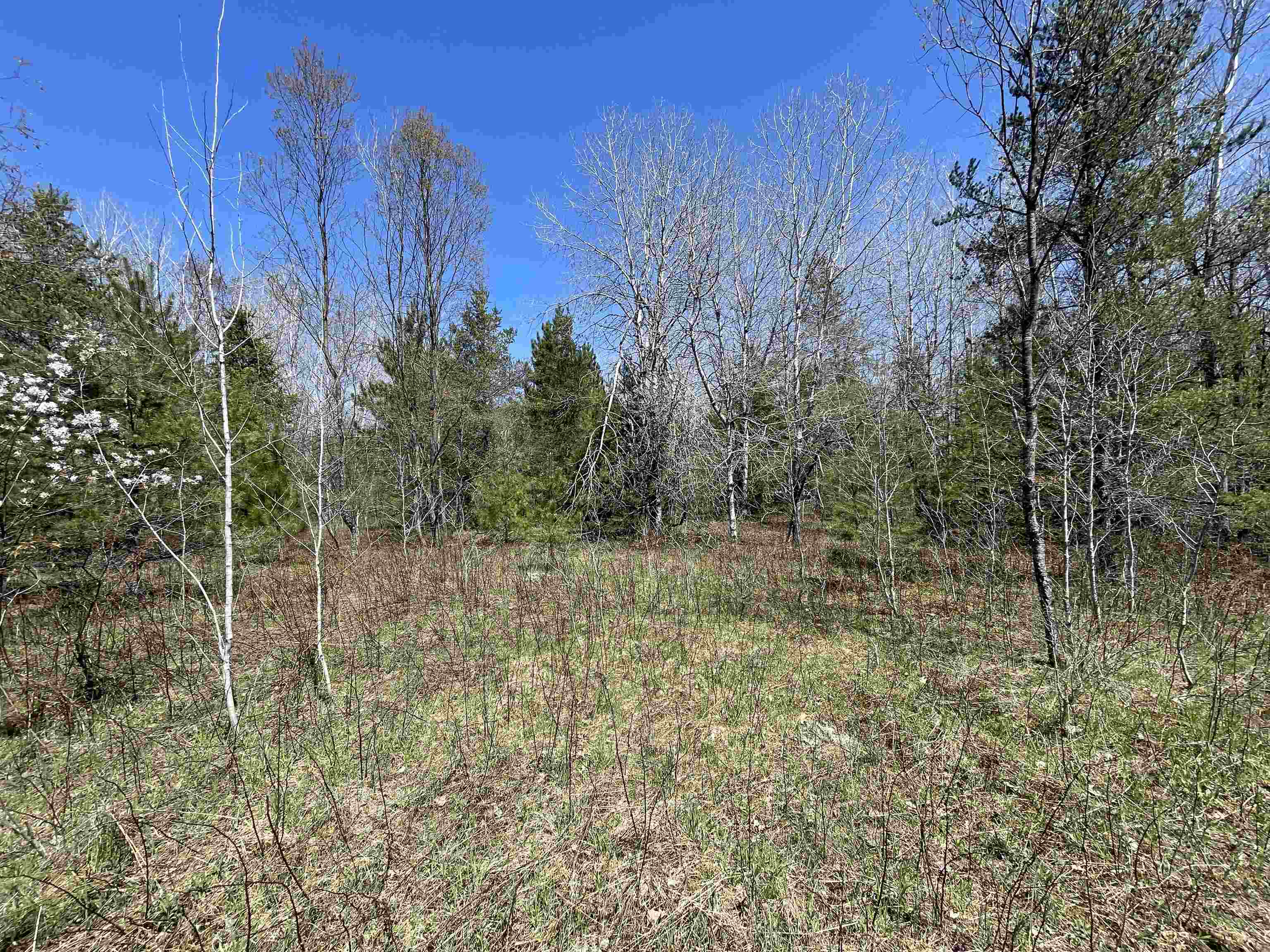 0 East 38 Road Cadillac, MI 49601 - Photo 39 of 39
