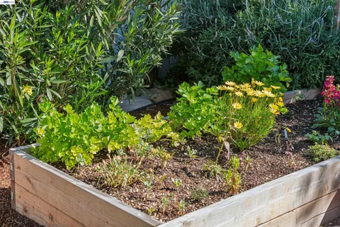 $500,000 | 1262 94th Avenue, Oakland, CA 94603