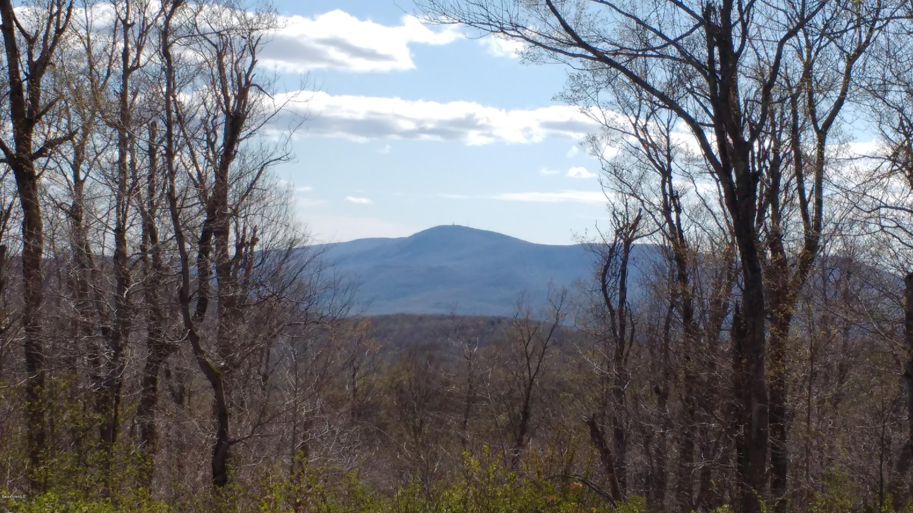 135 Tilda Hill Road Florida, MA 01247 - Photo 7 of 7 spring views