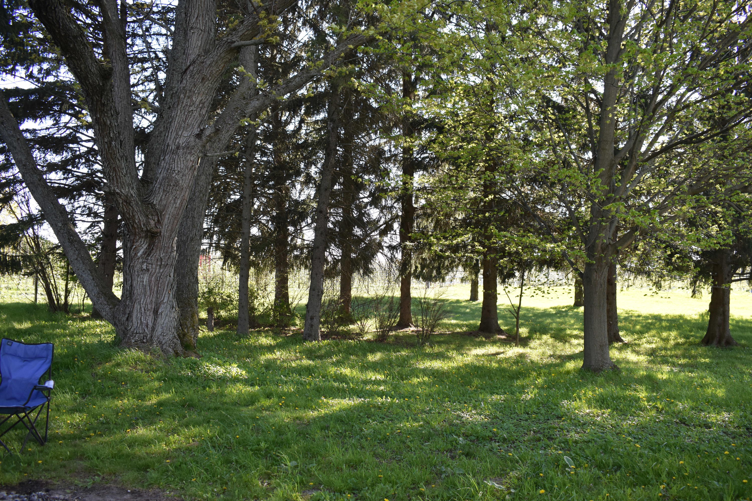 3903 South Stone Road Fremont, MI 49412 - Photo 39 of 46 DSC_0930