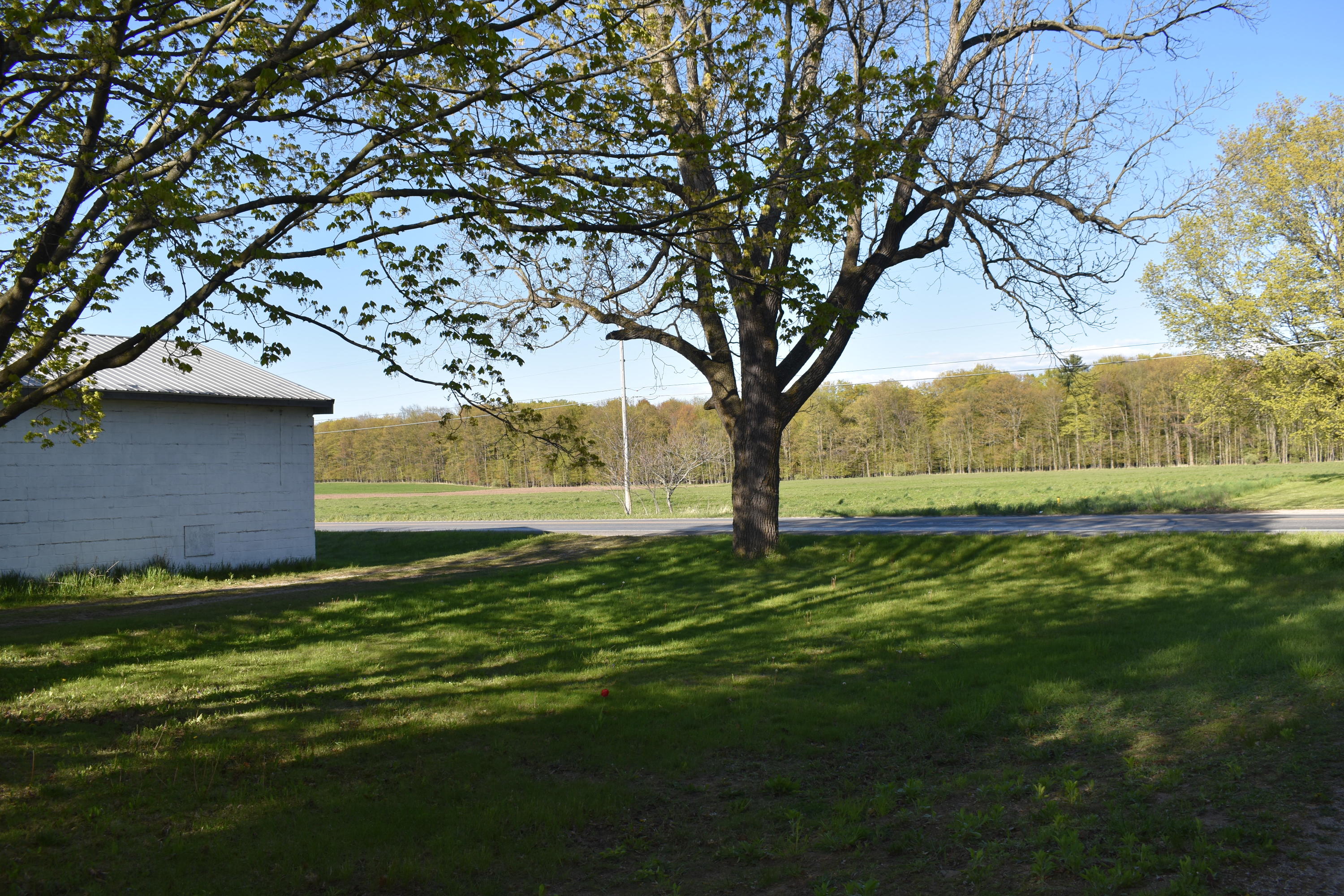 3903 South Stone Road Fremont, MI 49412 - Photo 44 of 46 DSC_0956