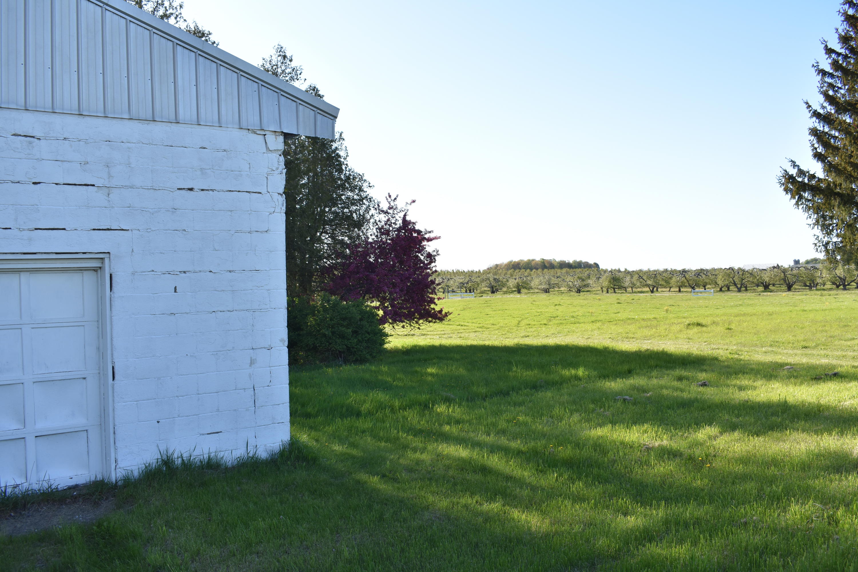 3903 South Stone Road Fremont, MI 49412 - Photo 46 of 46 DSC_0958