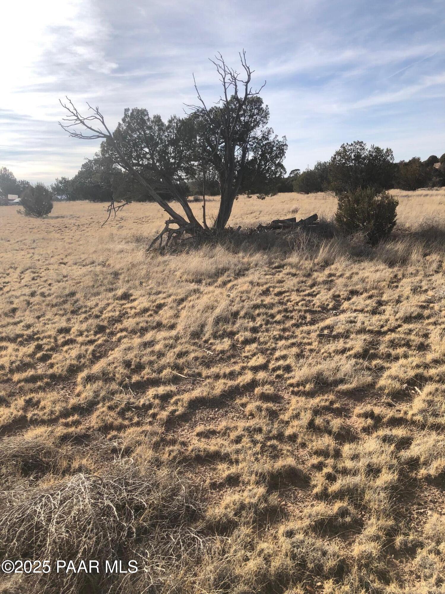 2120 North Forest Line Road Williams, AZ 86046 - Photo 1 of 11 IMG_2440