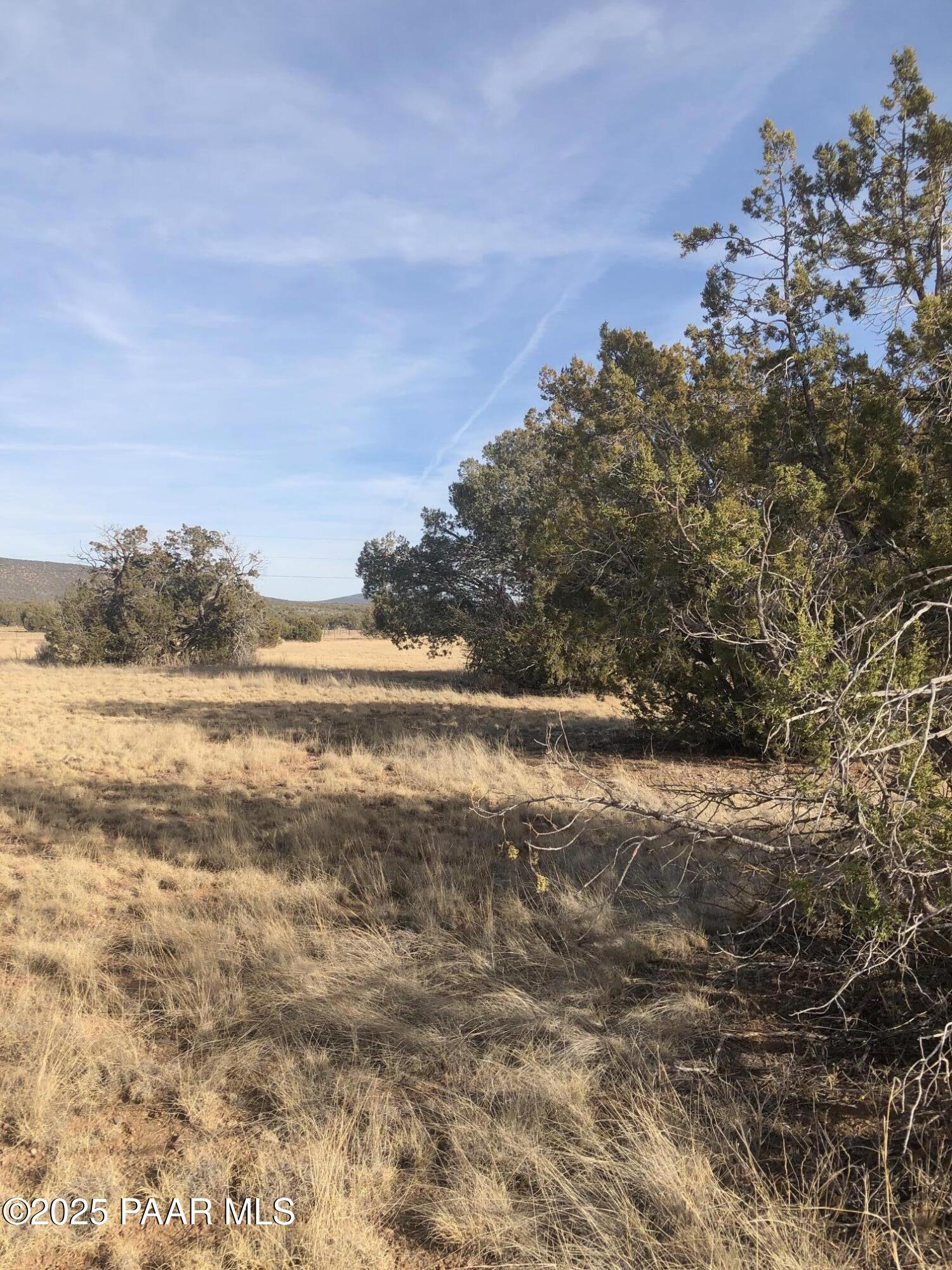 2120 North Forest Line Road Williams, AZ 86046 - Photo 5 of 11 IMG_2444