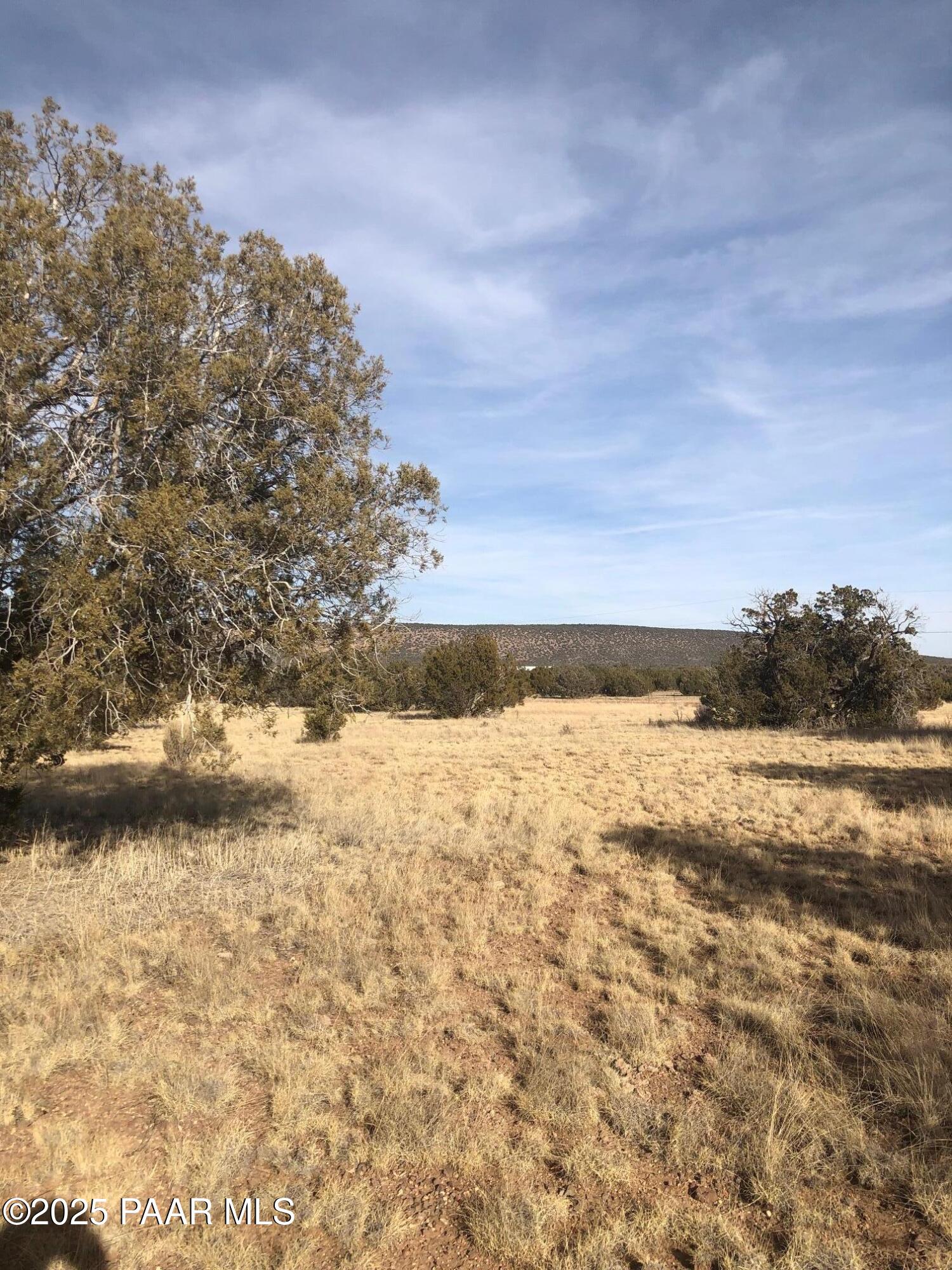 2120 North Forest Line Road Williams, AZ 86046 - Photo 6 of 11 IMG_2445
