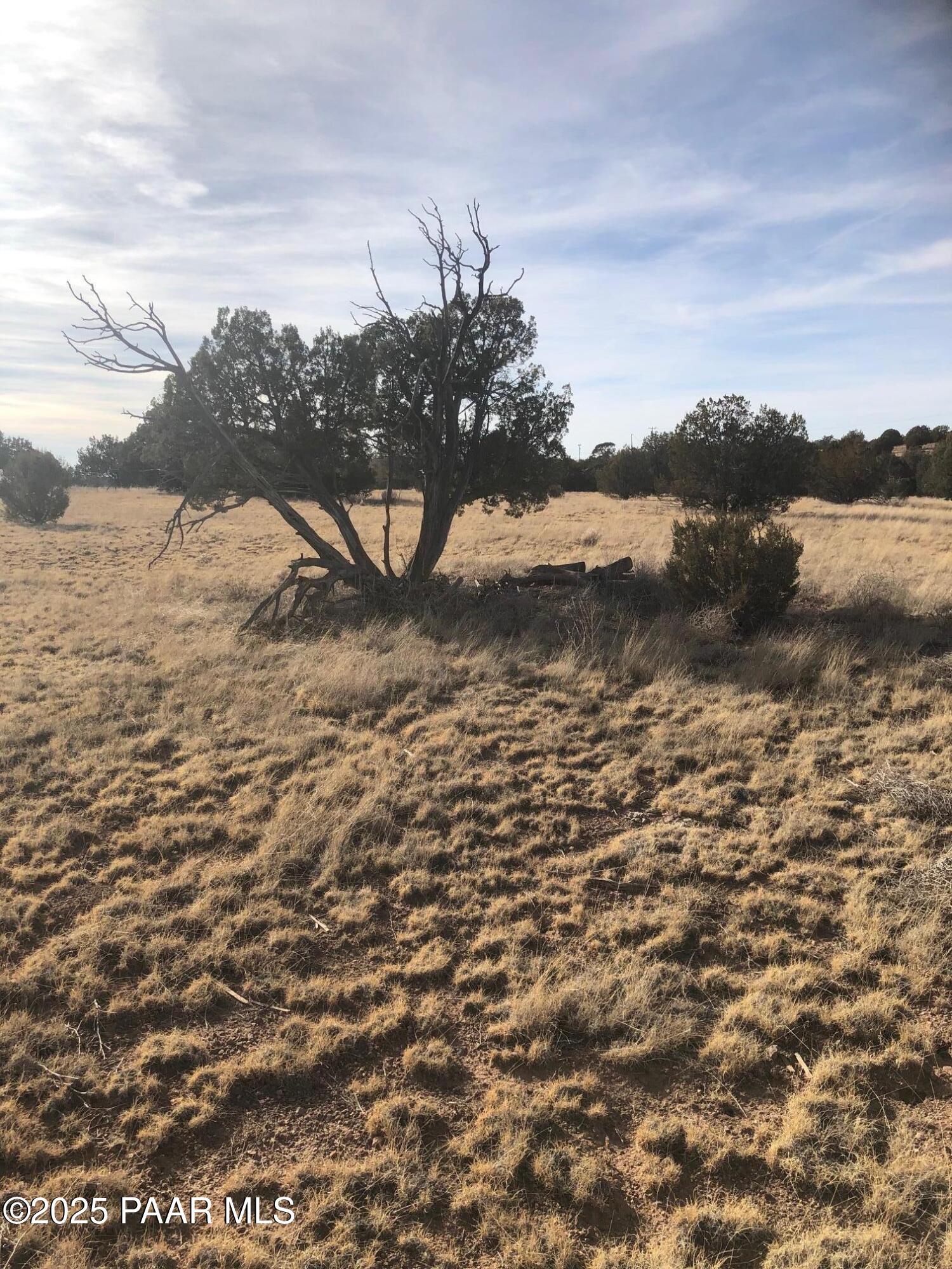 2120 North Forest Line Road Williams, AZ 86046 - Photo 10 of 11 IMG_2449