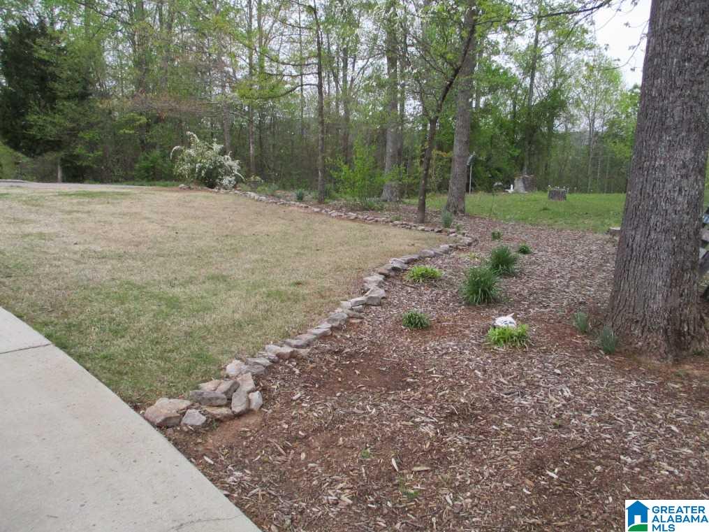 816 Ransome Drive Oneonta, AL 35121 - Photo 37 of 43