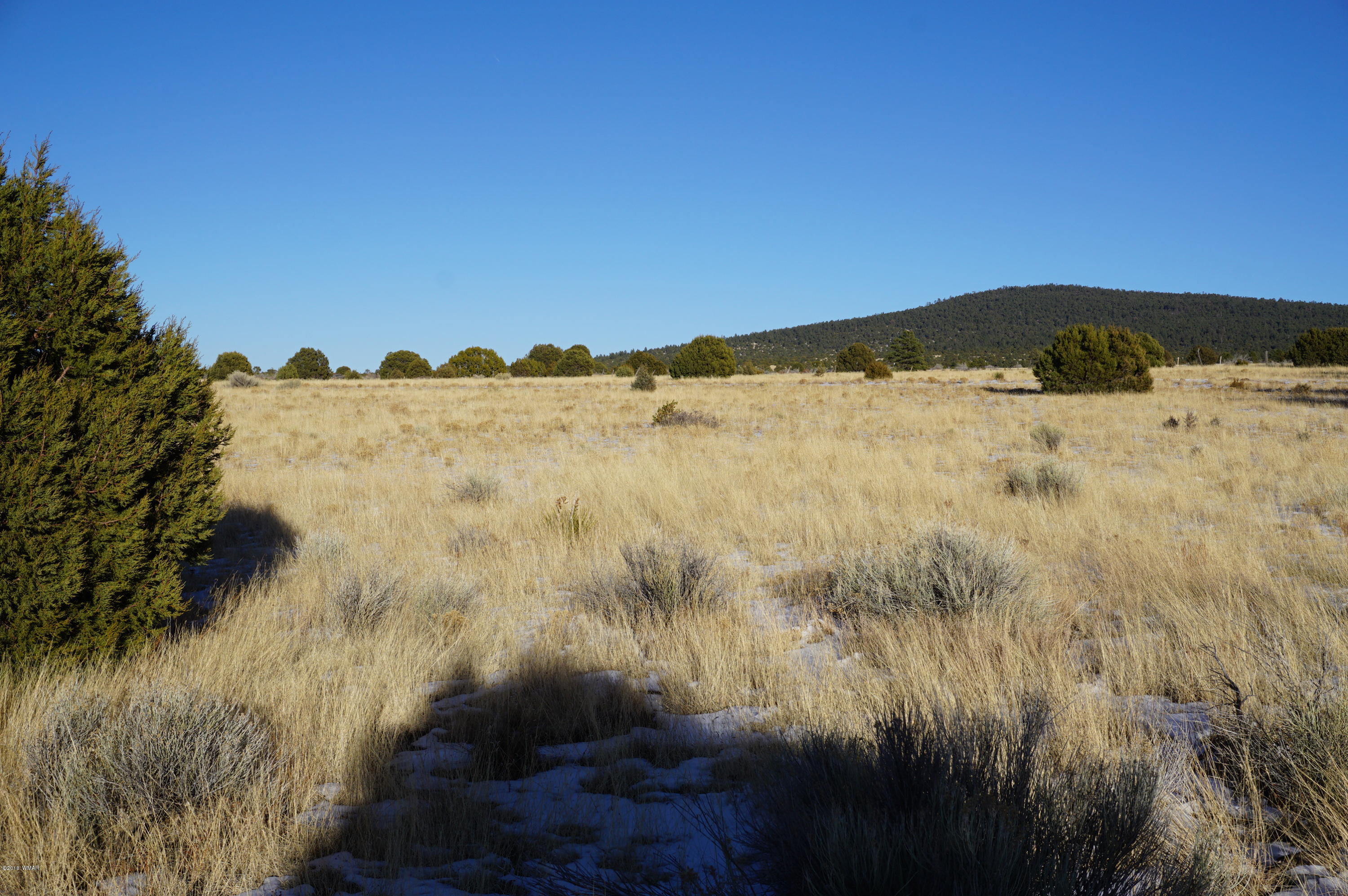 150 Co Road Springerville, AZ 85938 - Photo 11 of 46