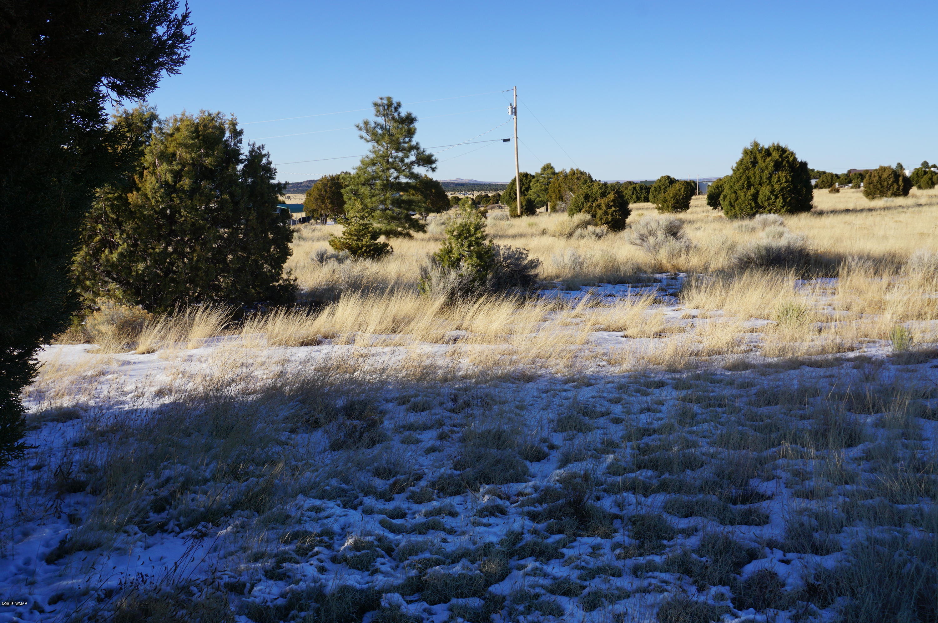 150 Co Road Springerville, AZ 85938 - Photo 12 of 46