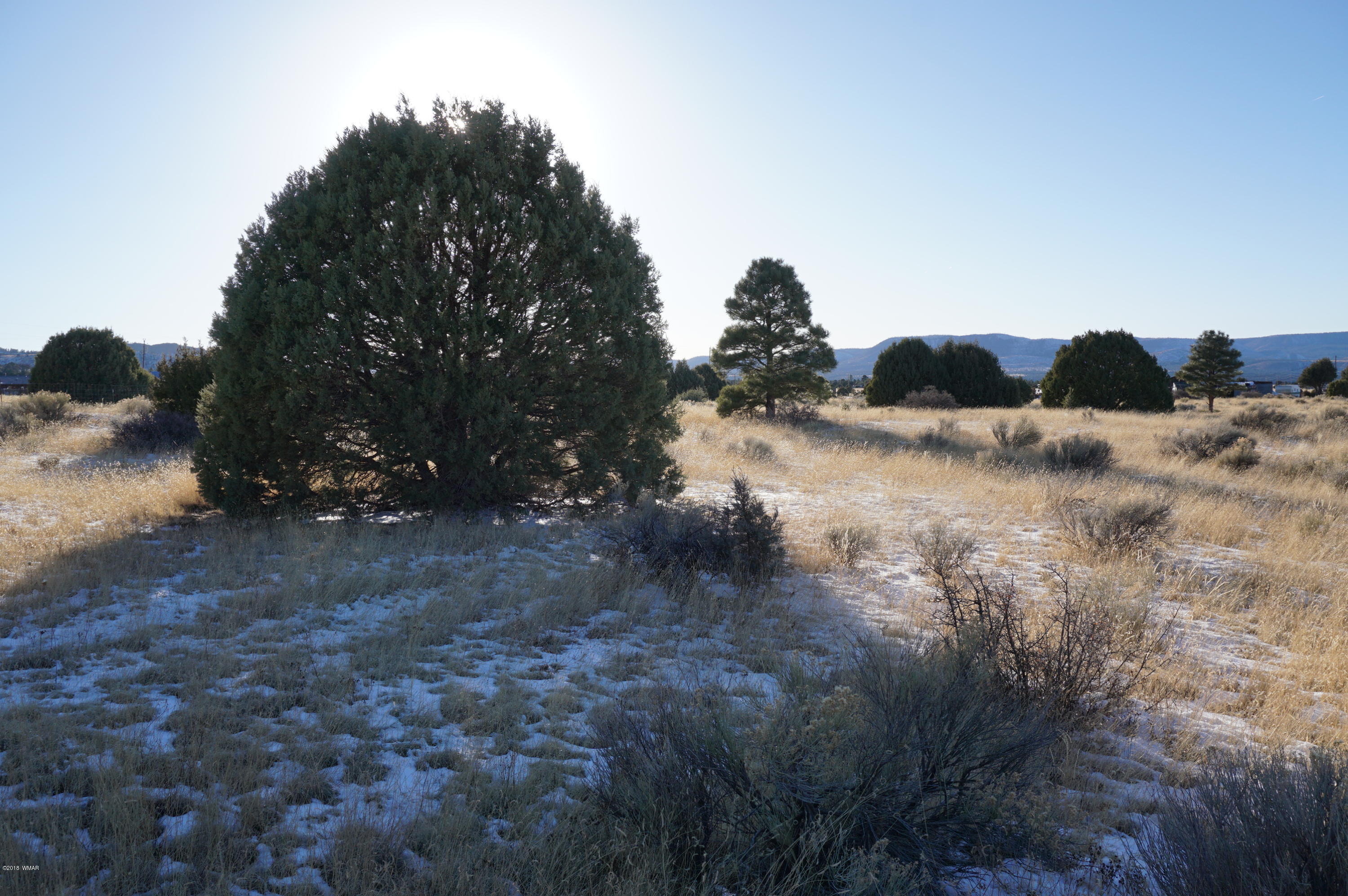 150 Co Road Springerville, AZ 85938 - Photo 14 of 46