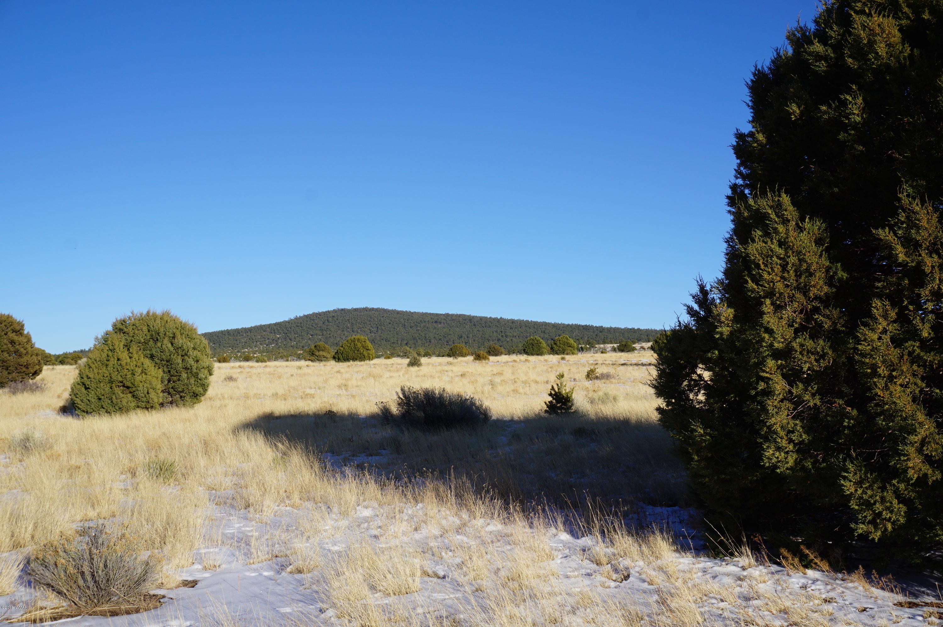 150 Co Road Springerville, AZ 85938 - Photo 18 of 46