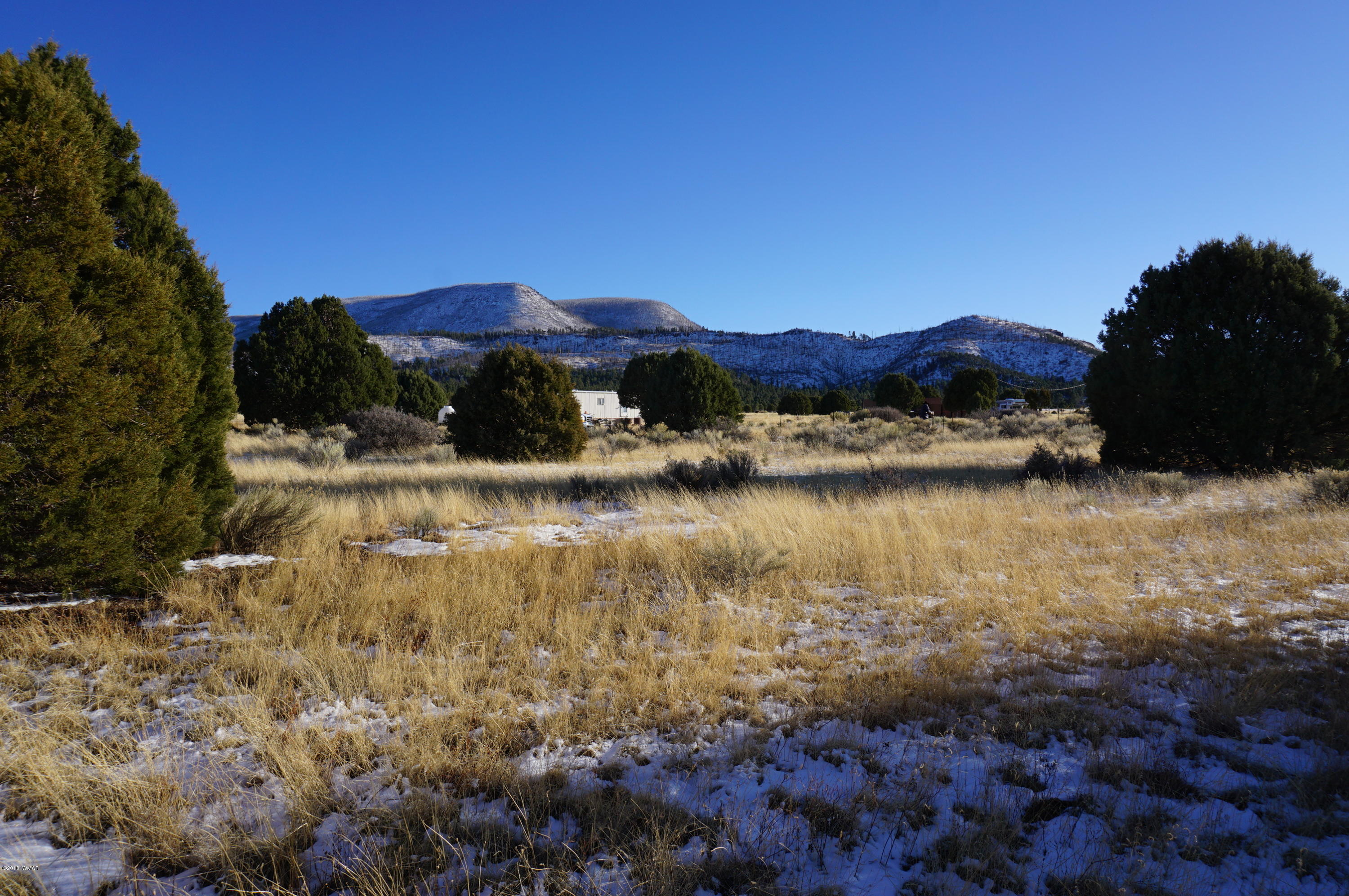 150 Co Road Springerville, AZ 85938 - Photo 19 of 46