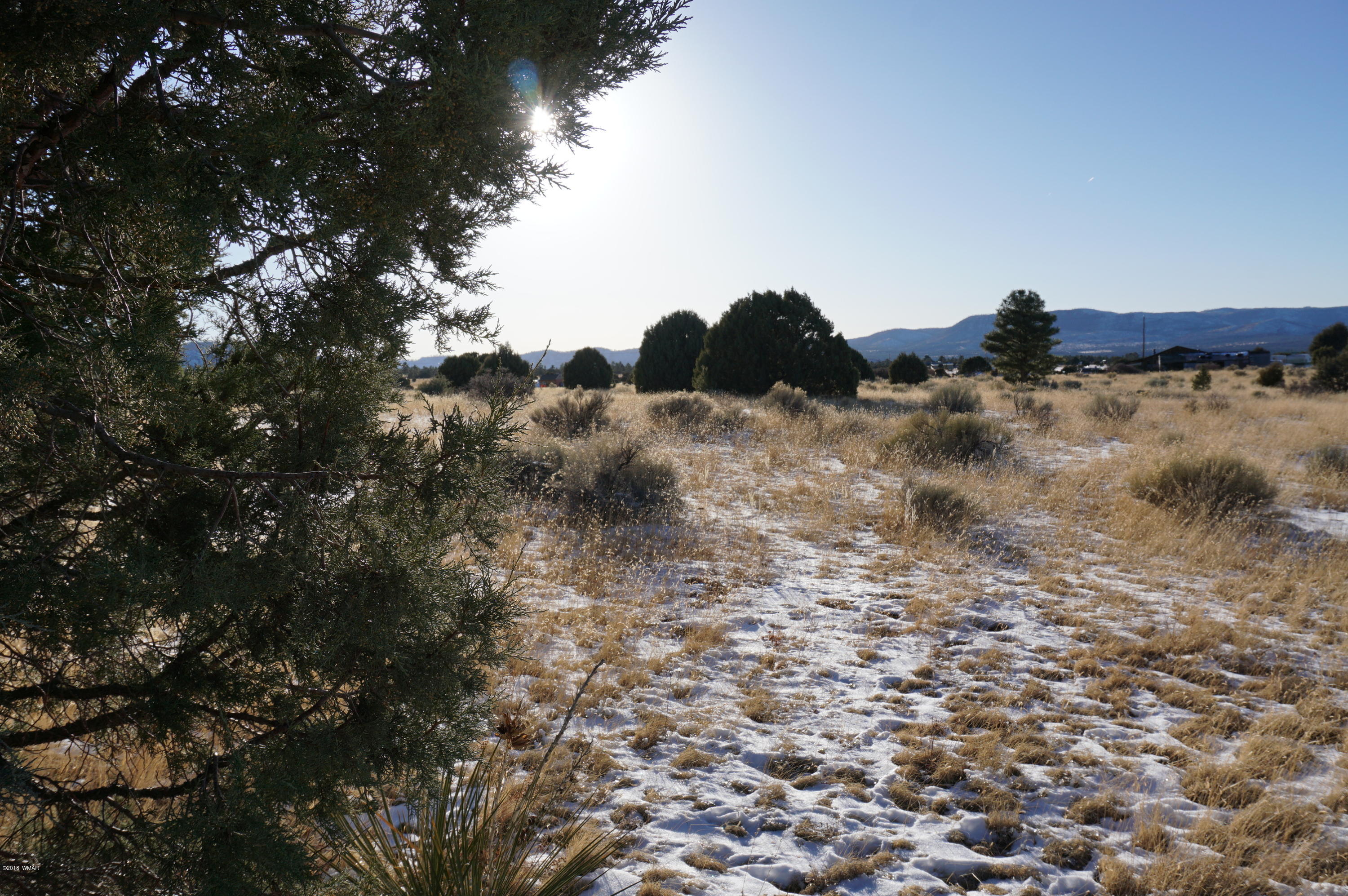 150 Co Road Springerville, AZ 85938 - Photo 2 of 46