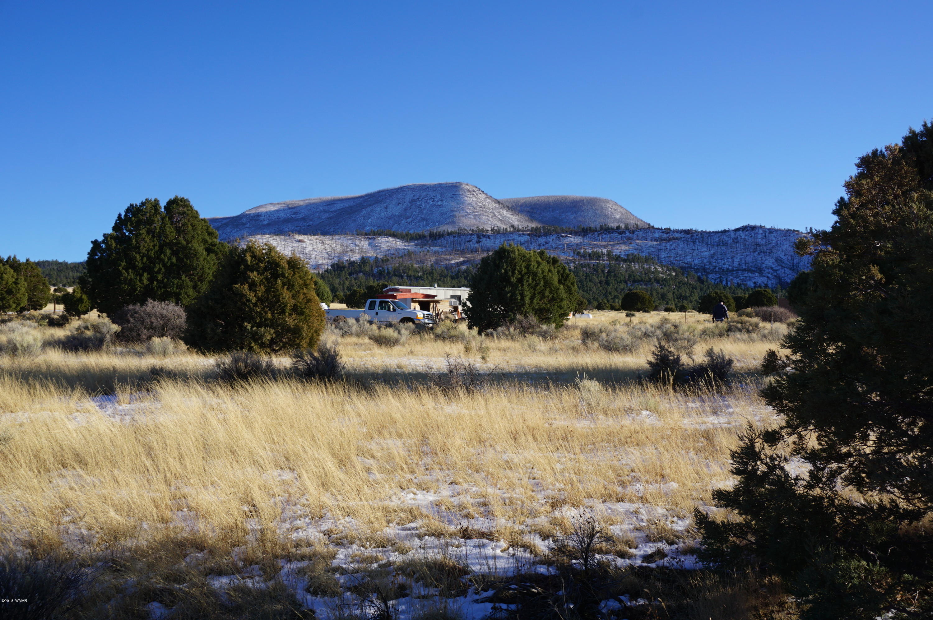 150 Co Road Springerville, AZ 85938 - Photo 21 of 46