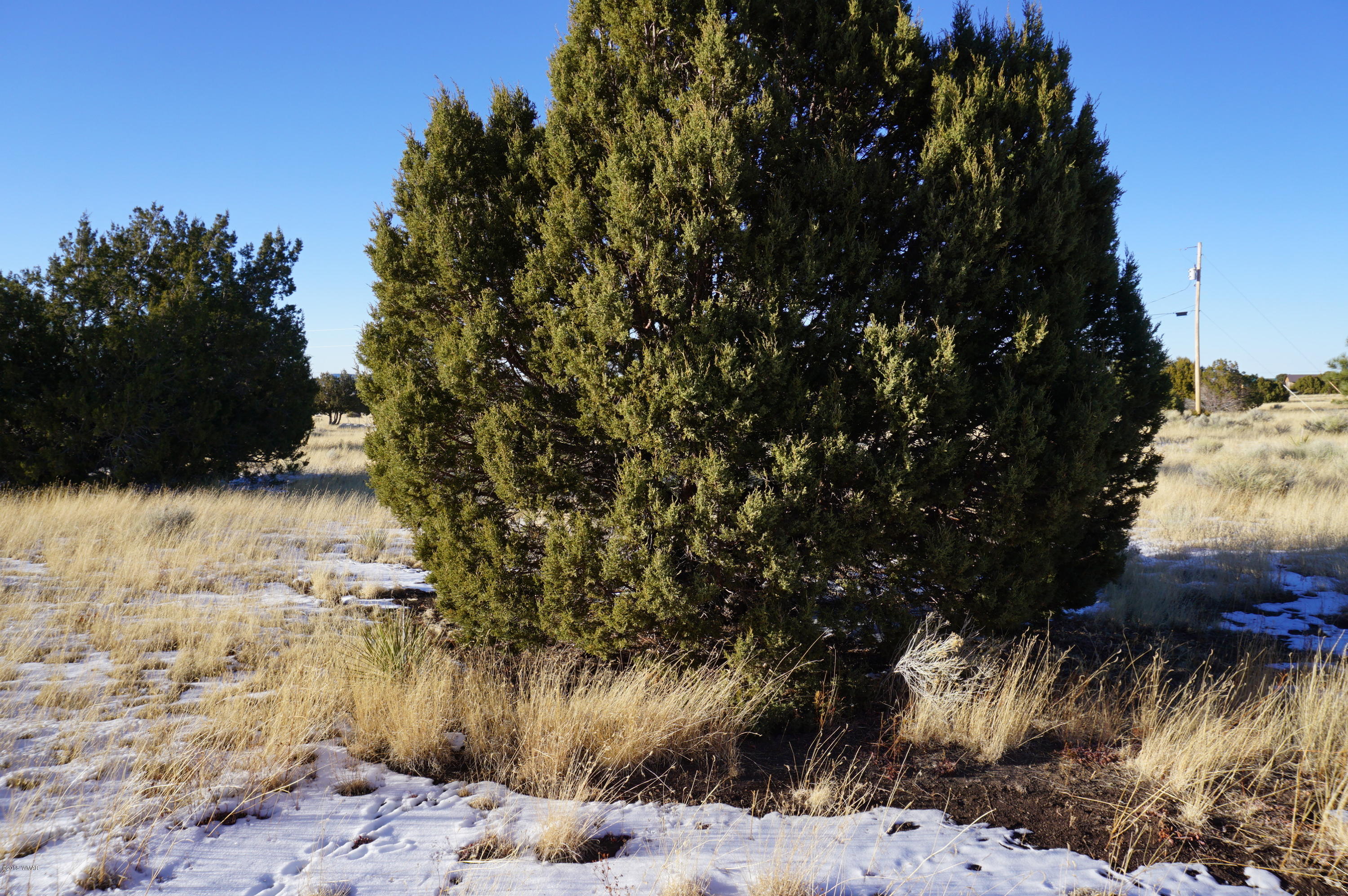 150 Co Road Springerville, AZ 85938 - Photo 22 of 46