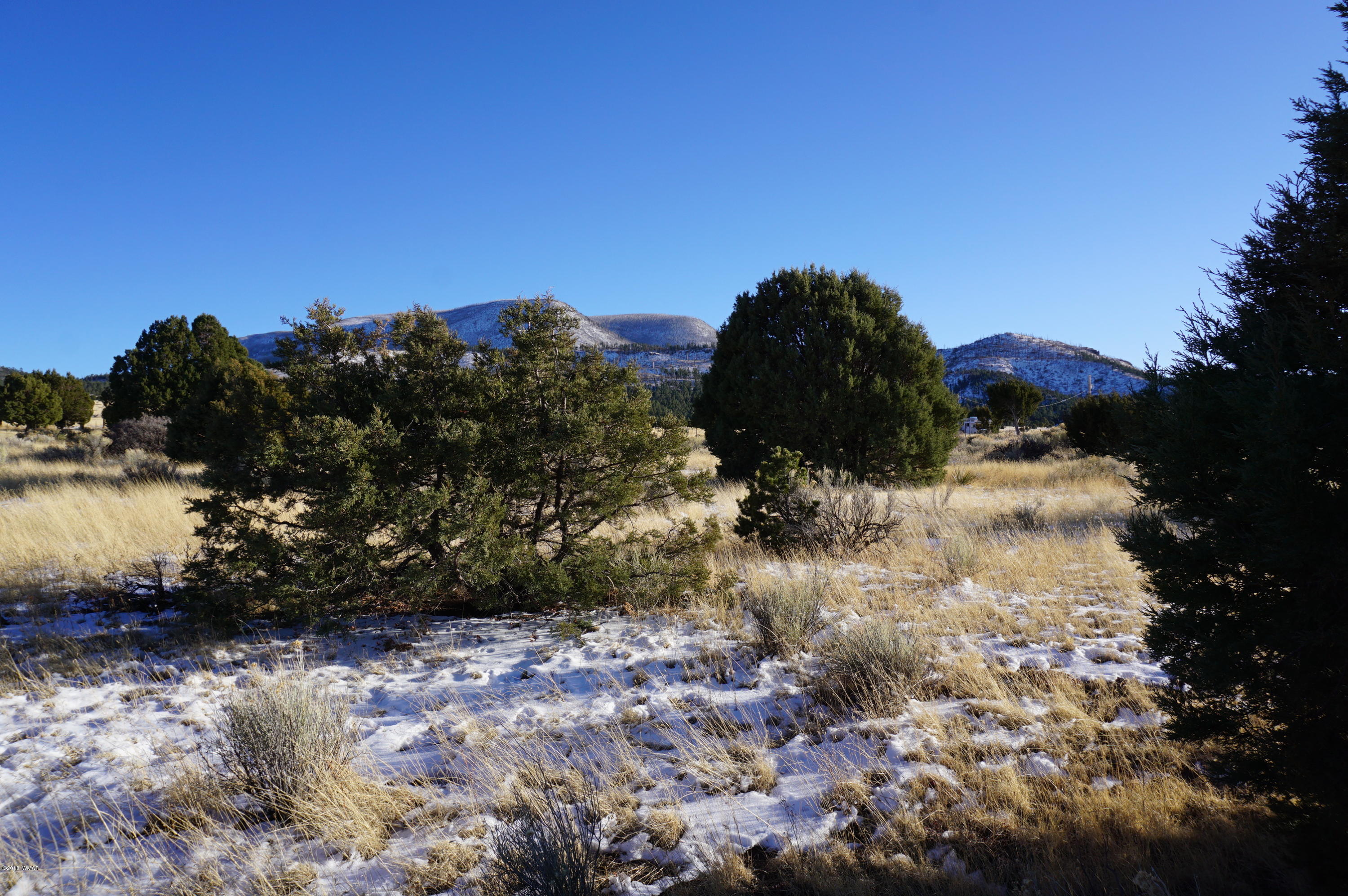 150 Co Road Springerville, AZ 85938 - Photo 24 of 46