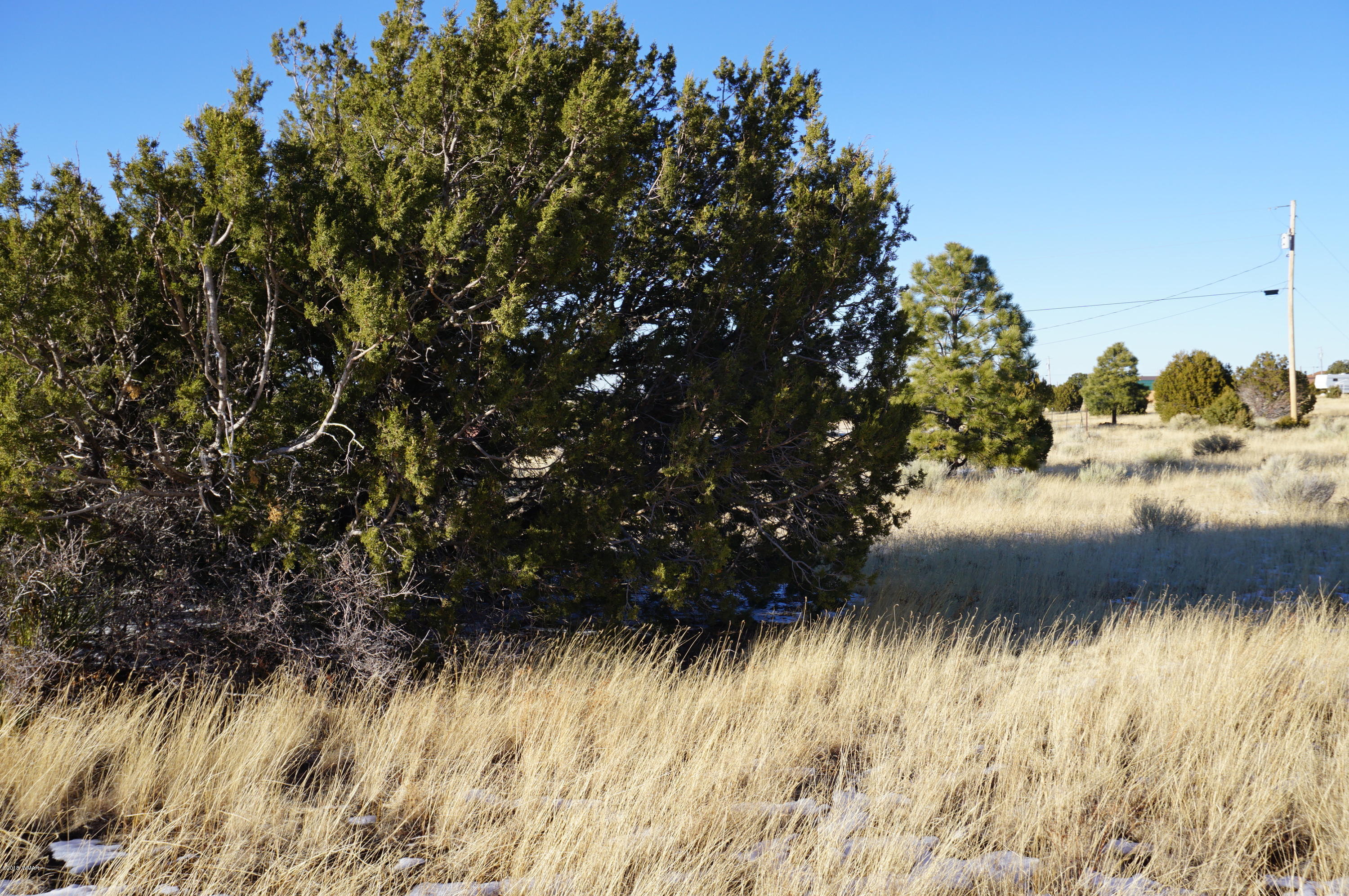 150 Co Road Springerville, AZ 85938 - Photo 27 of 46