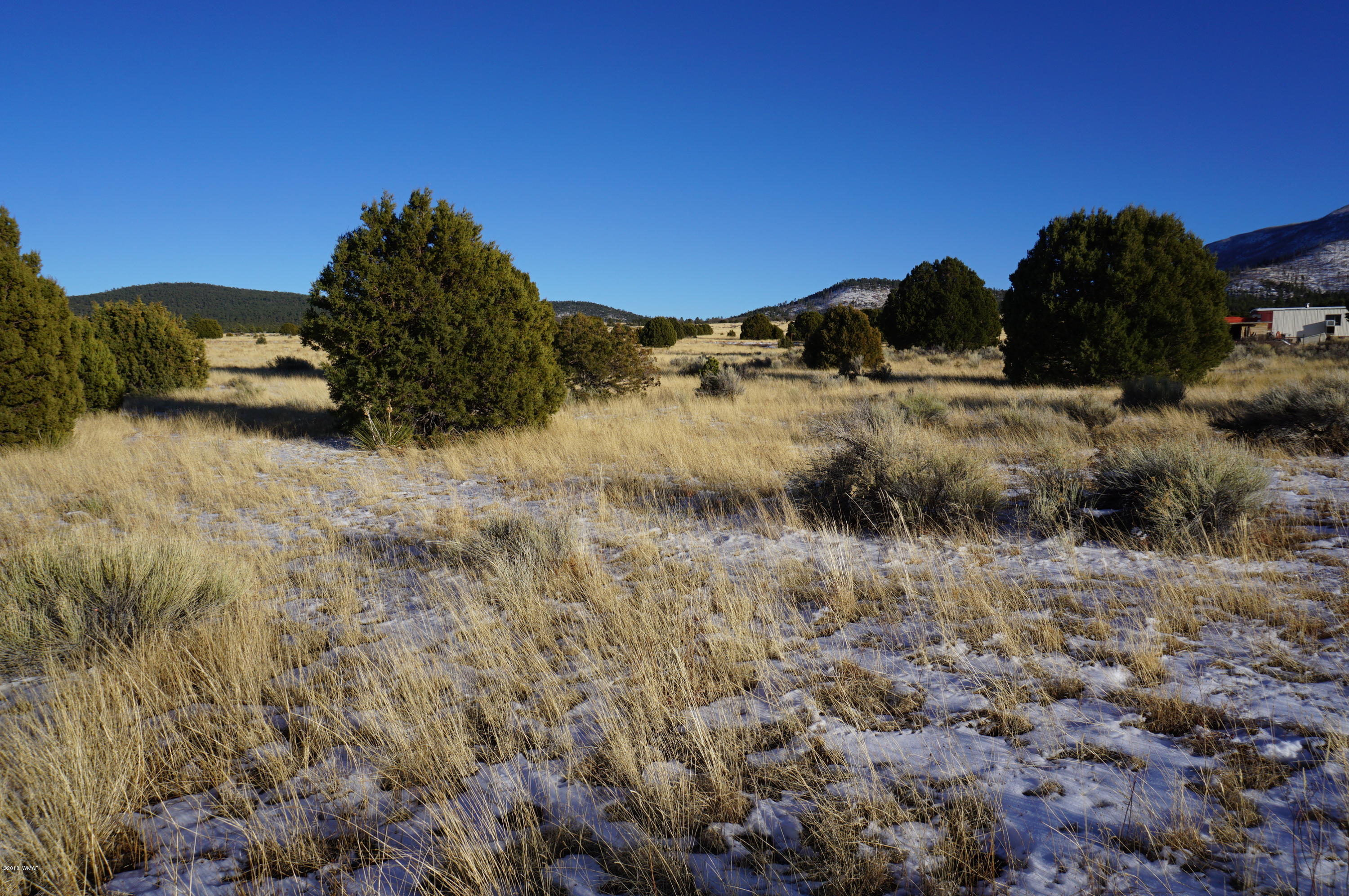 150 Co Road Springerville, AZ 85938 - Photo 30 of 46