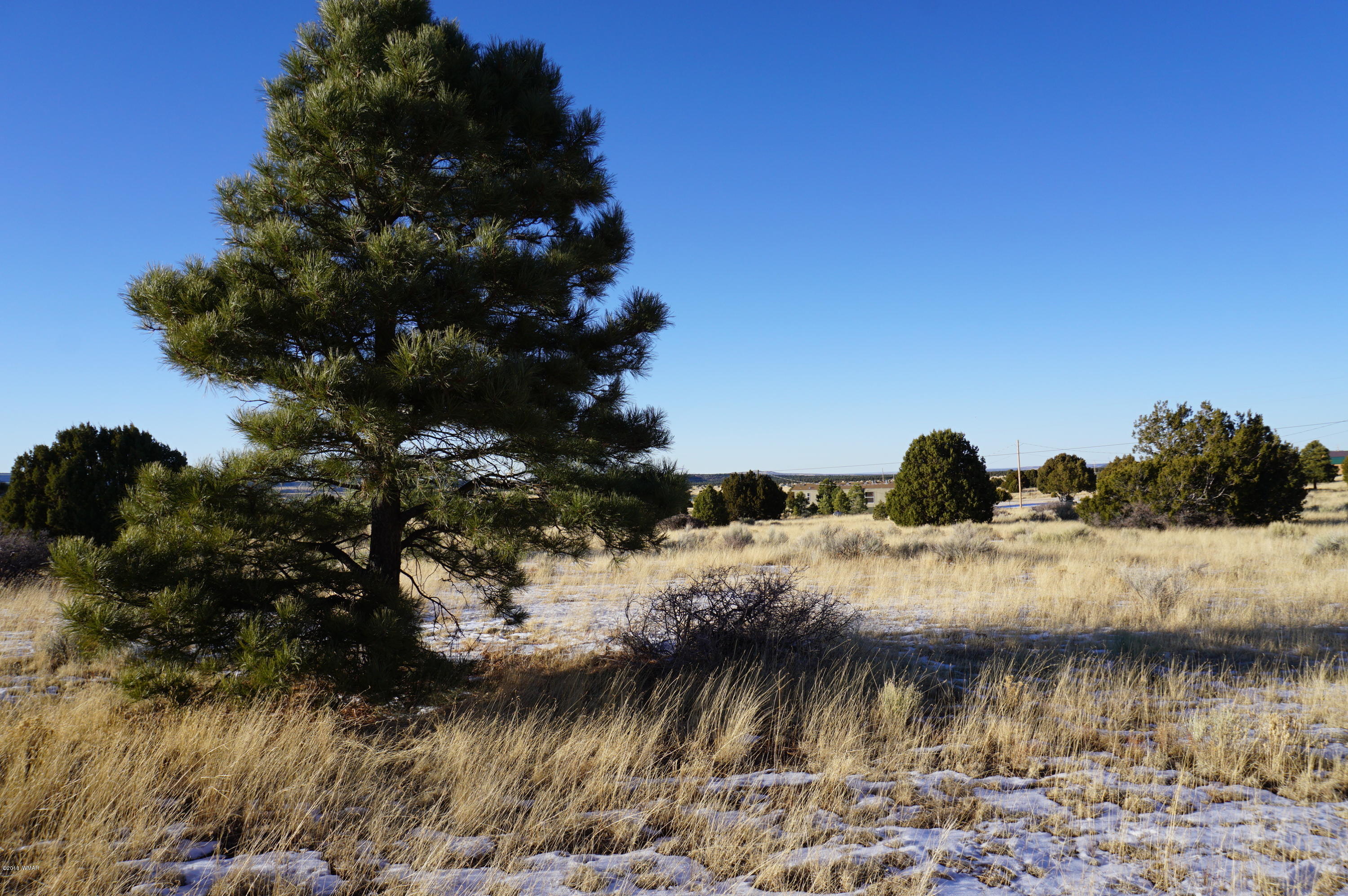 150 Co Road Springerville, AZ 85938 - Photo 3 of 46